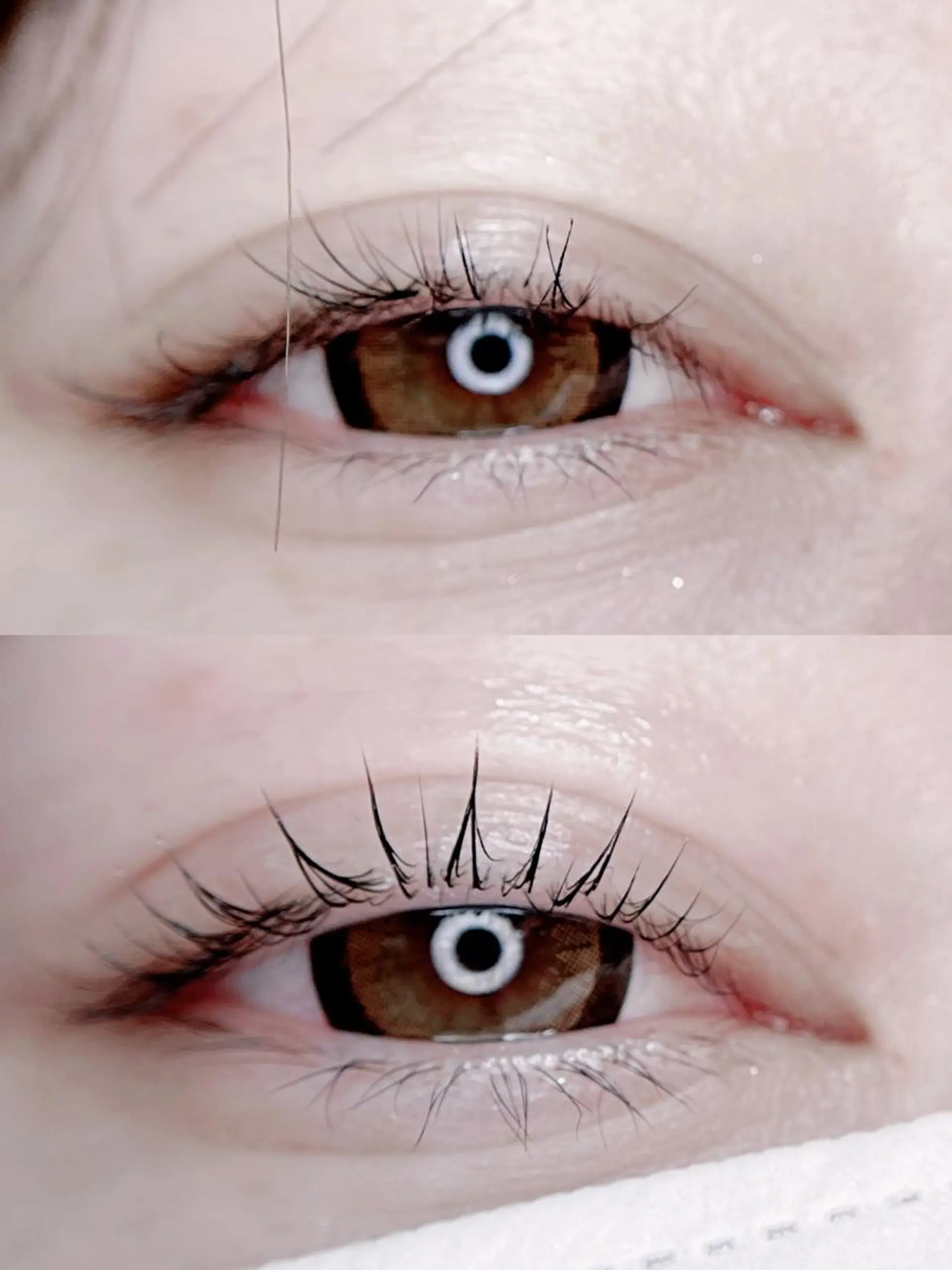 マツエク・マツパ foisalon 大久保店のマツエク・マツパデザイン