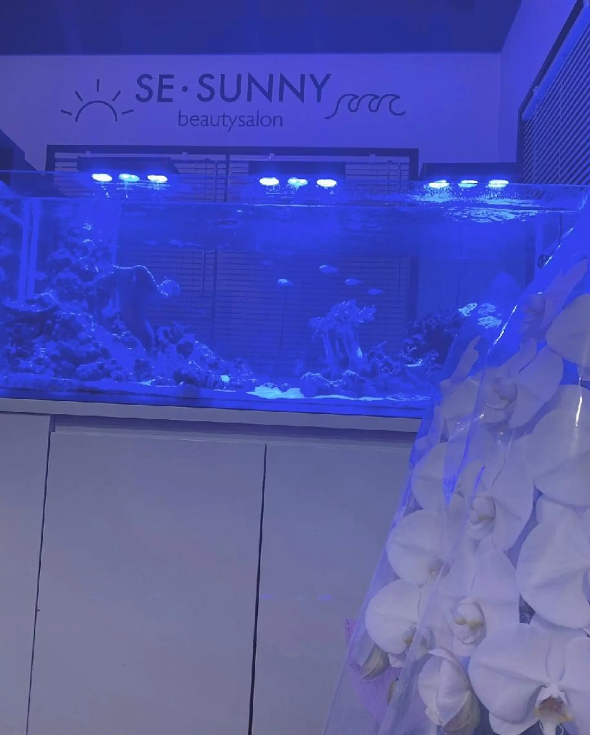 SESUNNY セサニー SEIRAのマツエク・マツパデザイン