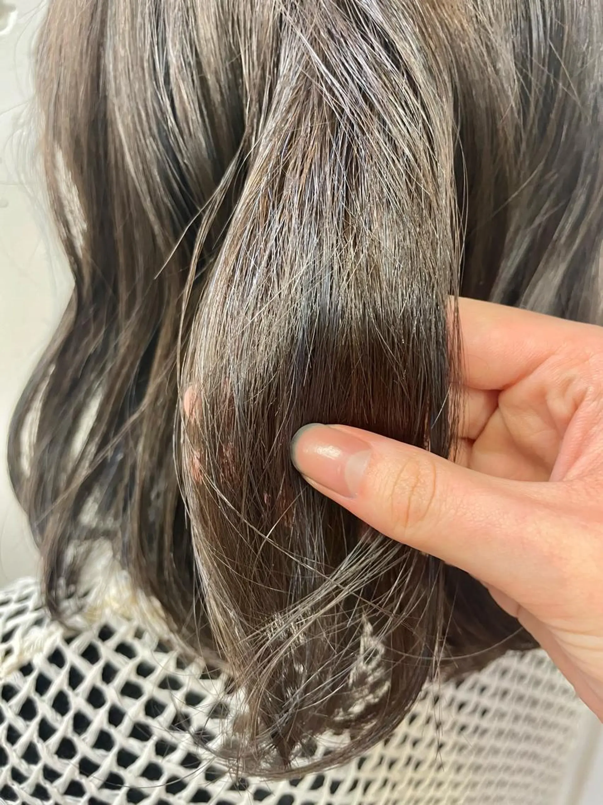 カラー ショートカット/ キタハラユリナのヘアスタイル