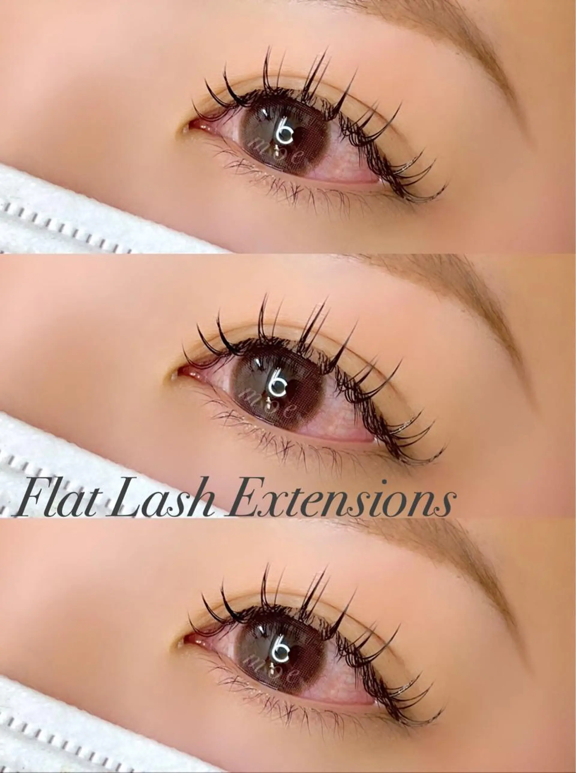 ãããšã¯ã»ããã CCã«ãŒã« Cã«ãŒã« iLæå±ã»ðiL äœè€èðã®ãããšã¯ã»ããããã¶ã€ã³