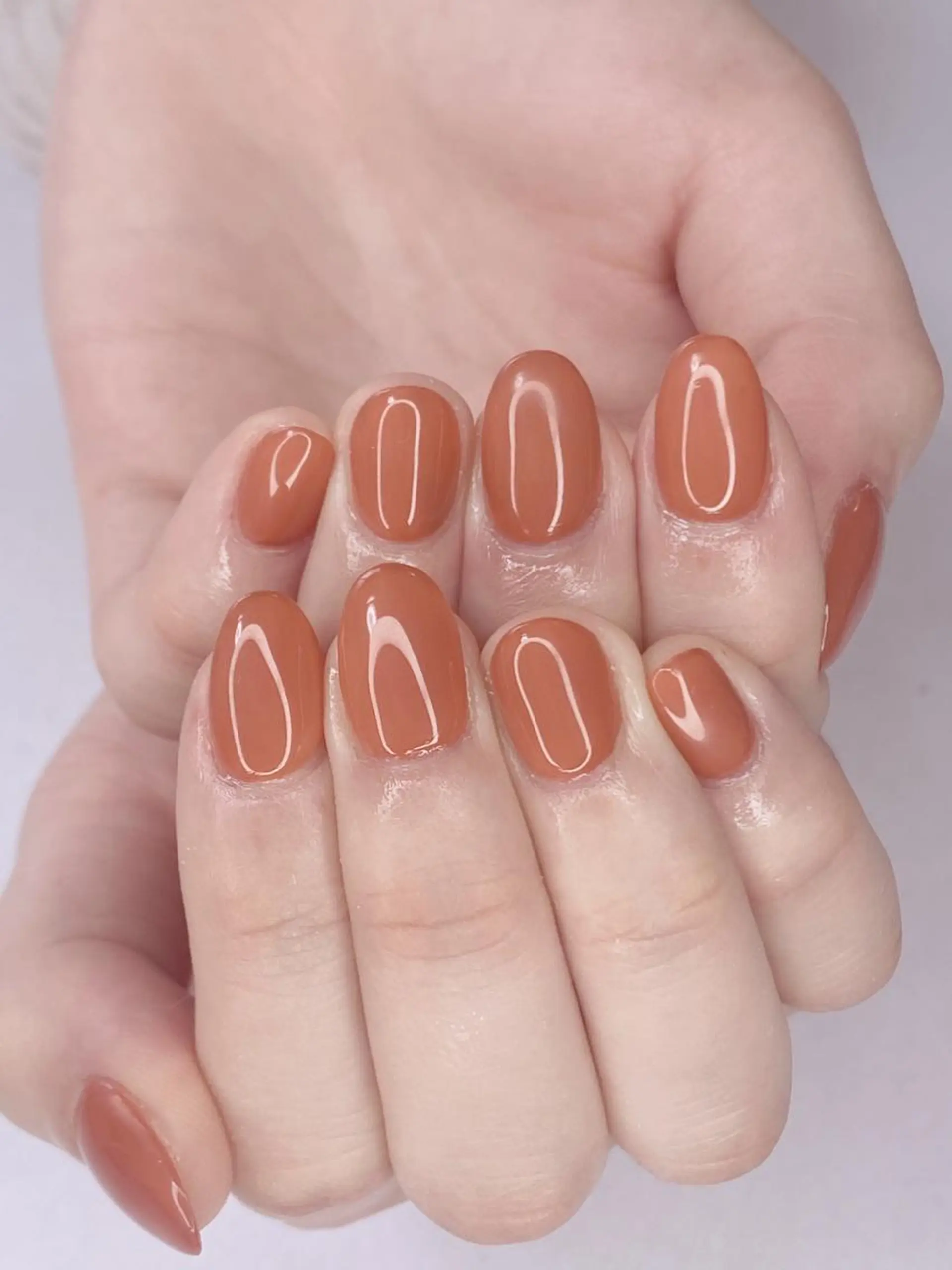 ネイル アニマル柄 アートネイル オーロラネイル 桜ネイル クリアネイル Ｎail Ｓalon ertiのネイルデザイン