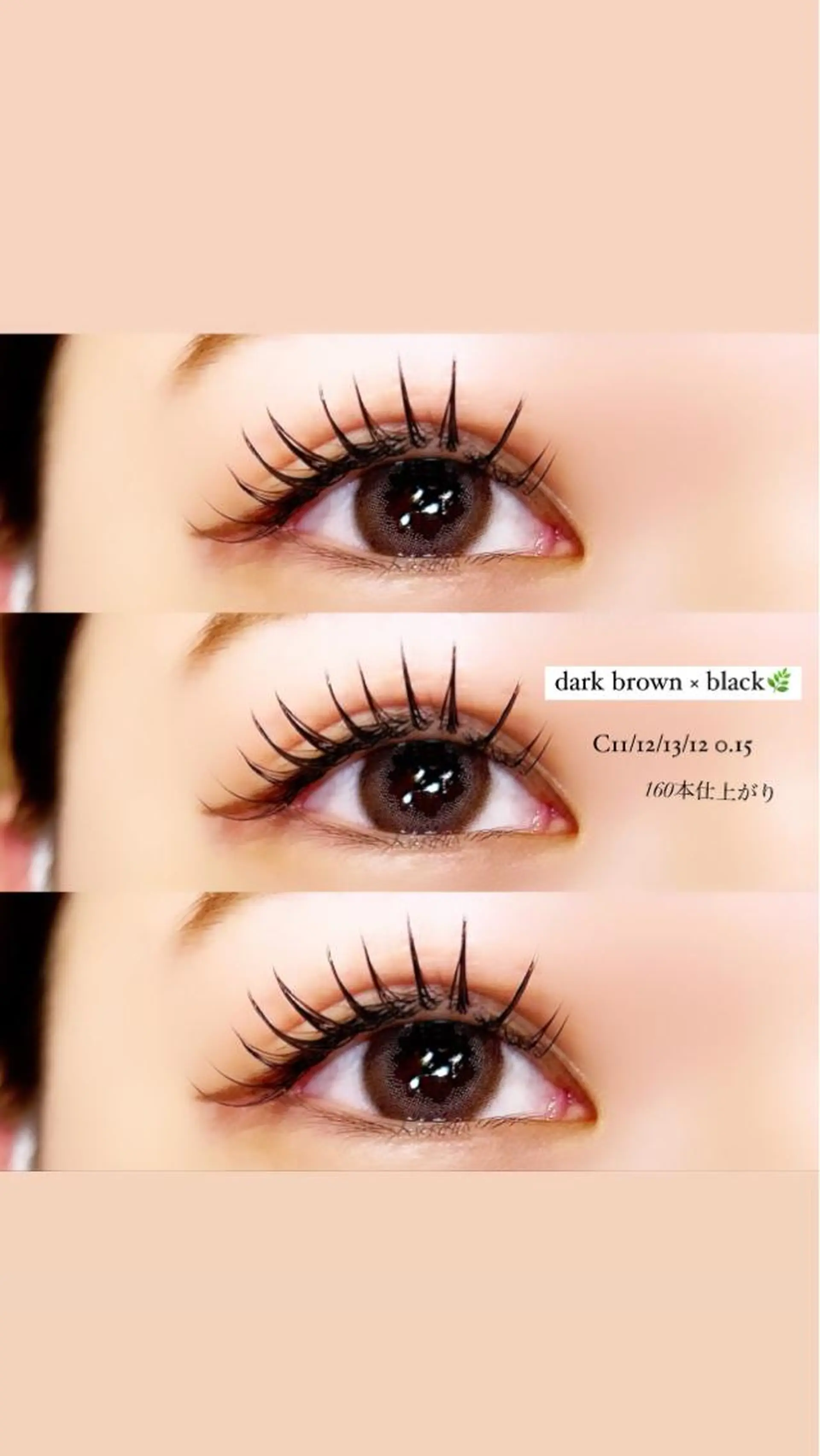 マツエク・マツパ マツエク Elle　Charme所属・Elle Charmeのマツエク・マツパデザイン