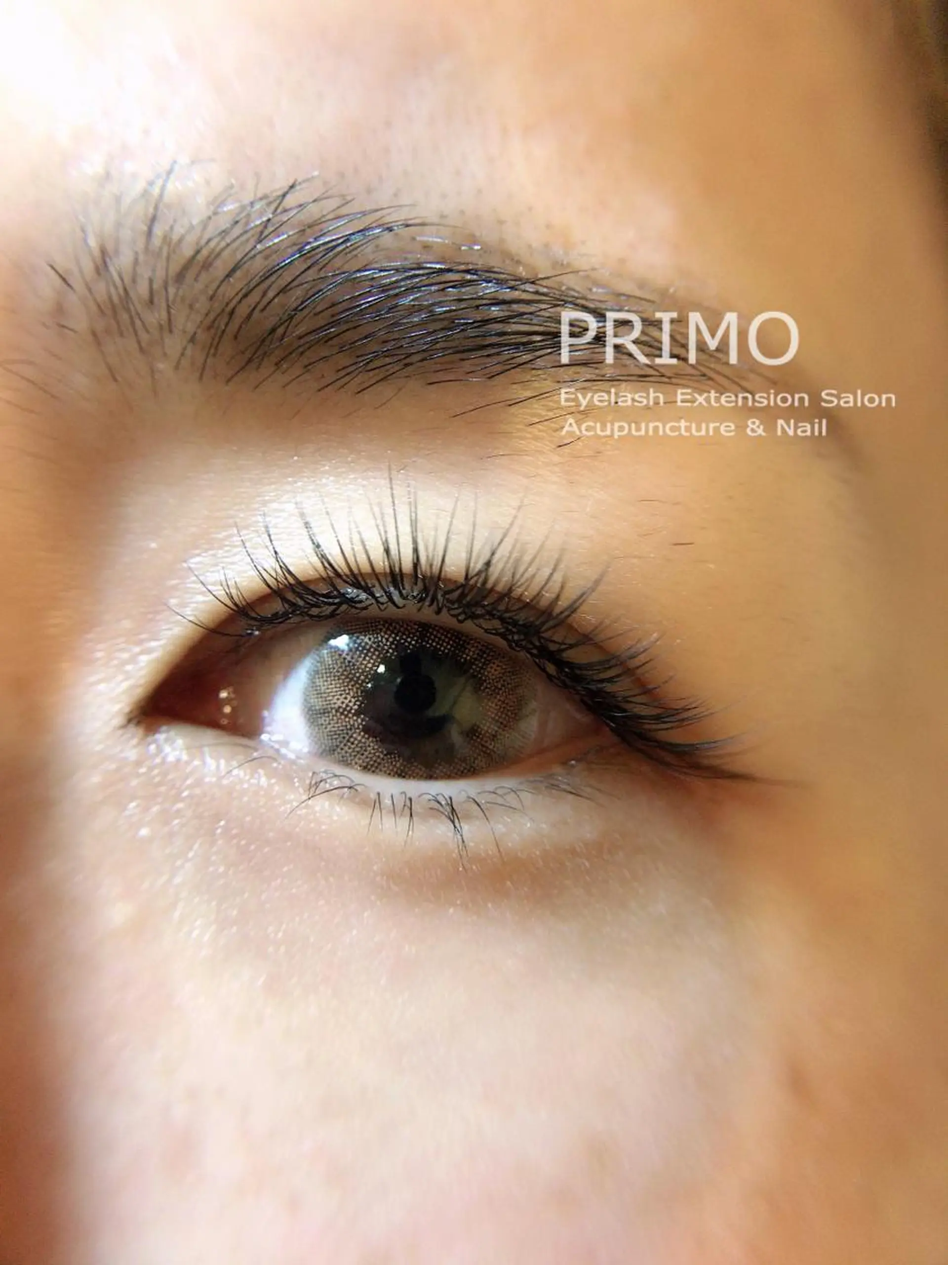 マツエク・マツパ PRIMO🐈🌱 マツパ/黒ティントのマツエク・マツパデザイン