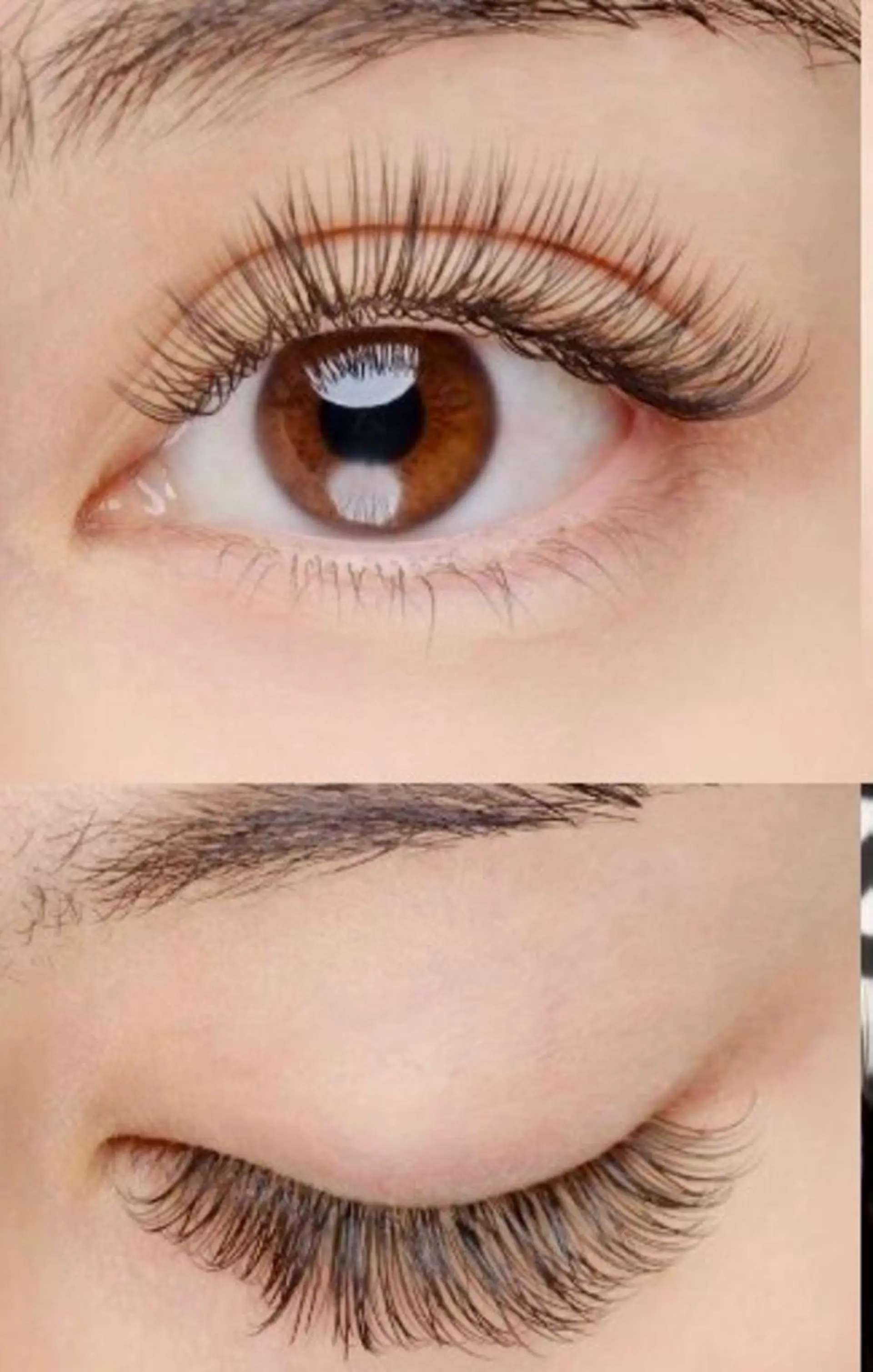 マツエク・マツパ フラットラッシュ セーブル 藤川 瑛梨奈のマツエク・マツパデザイン