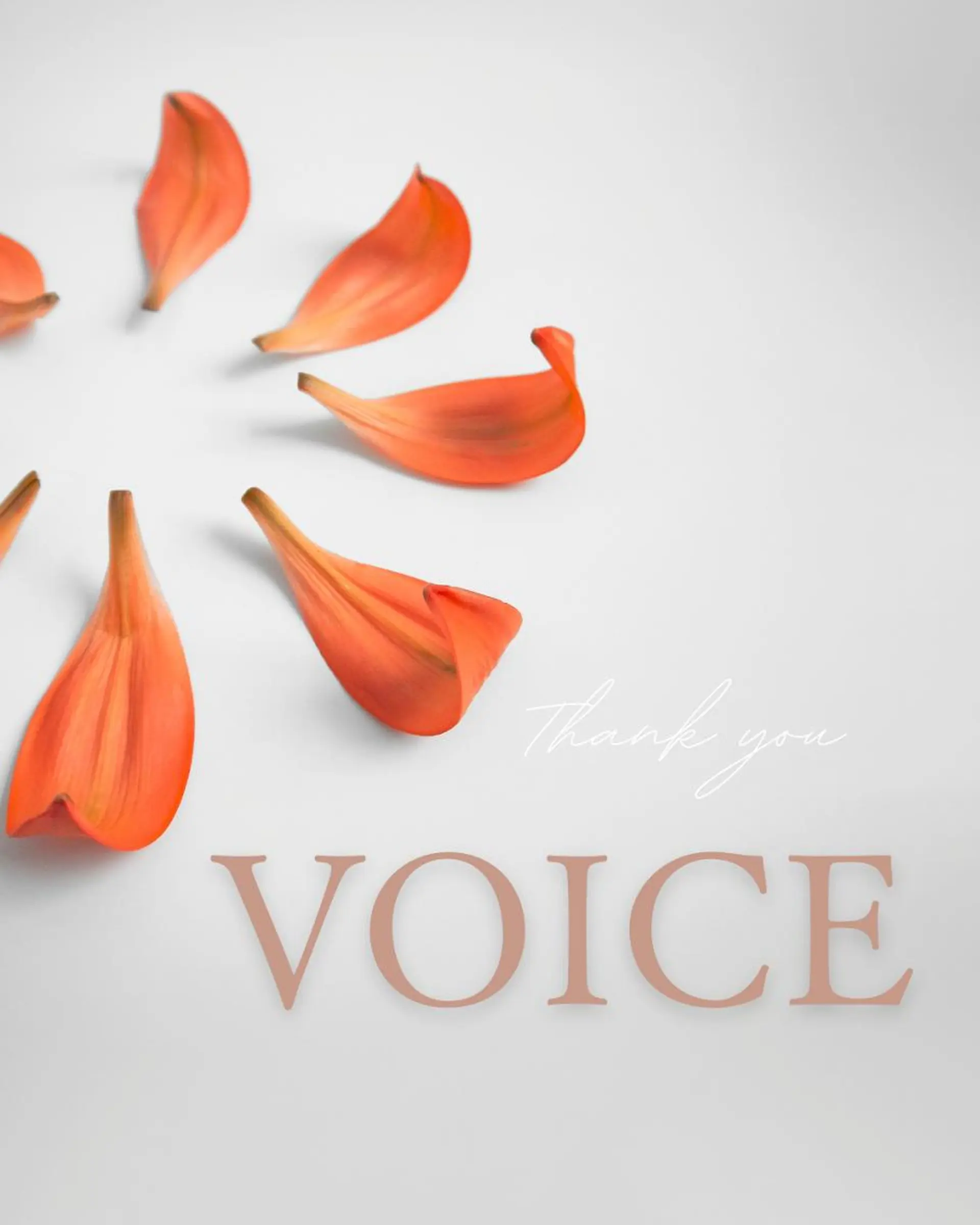 眉毛×肌質改善🫧 高岳/新栄町✨YUUの眉毛・アイブロウイメージ