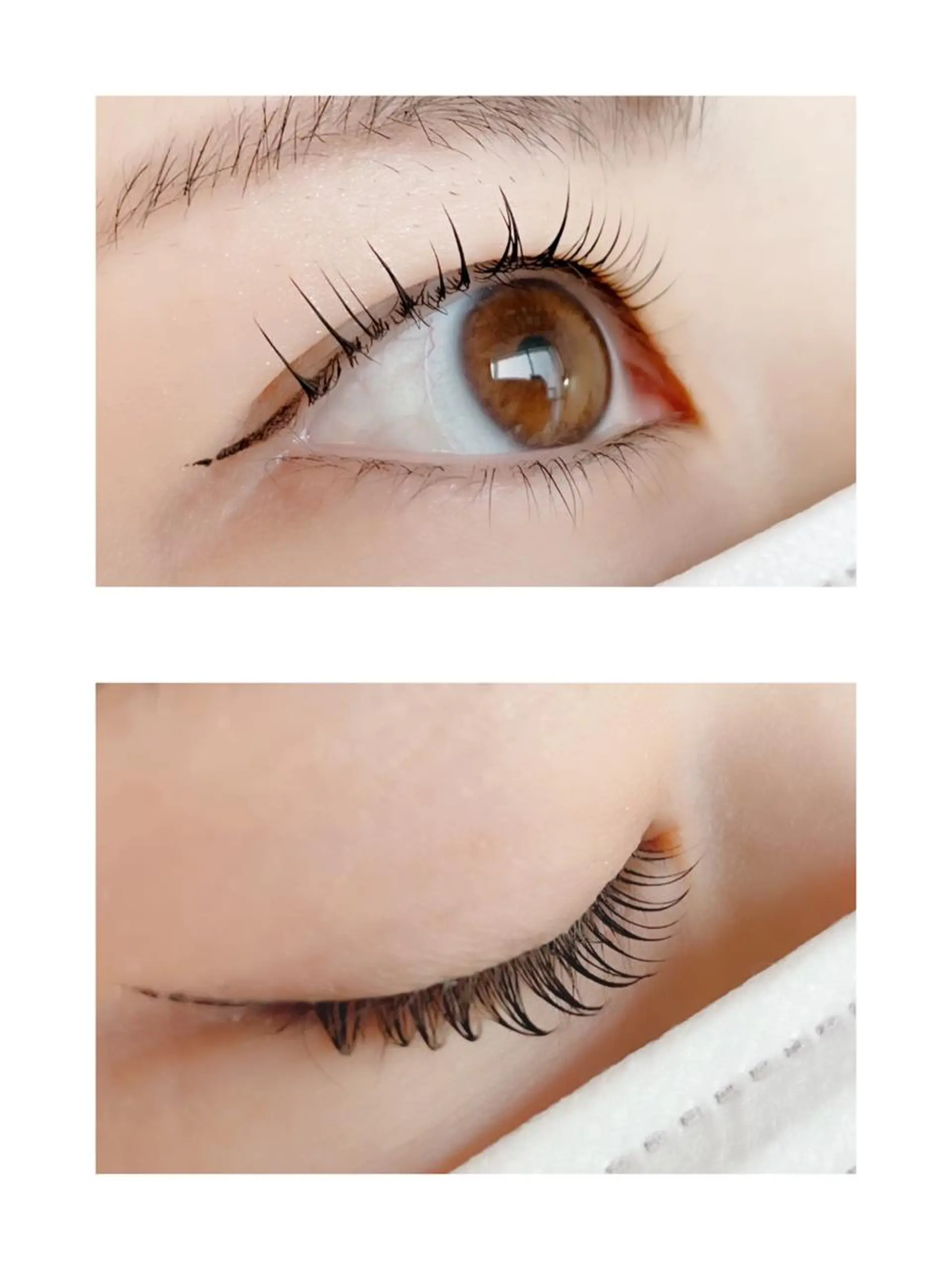 マツエク・マツパ キュート ダリアビューティー所属・LEDエクステ🫧 ダリアビューティーの眉毛・アイブロウイメージ