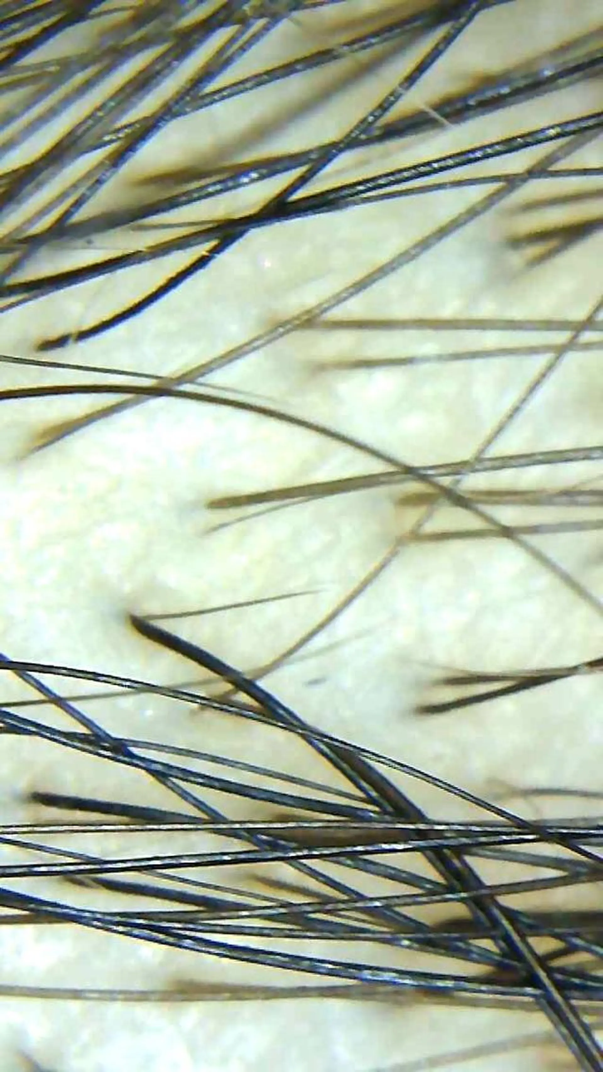 セントラル鍼灸院 Re:laxyのエステ・リラクイメージ