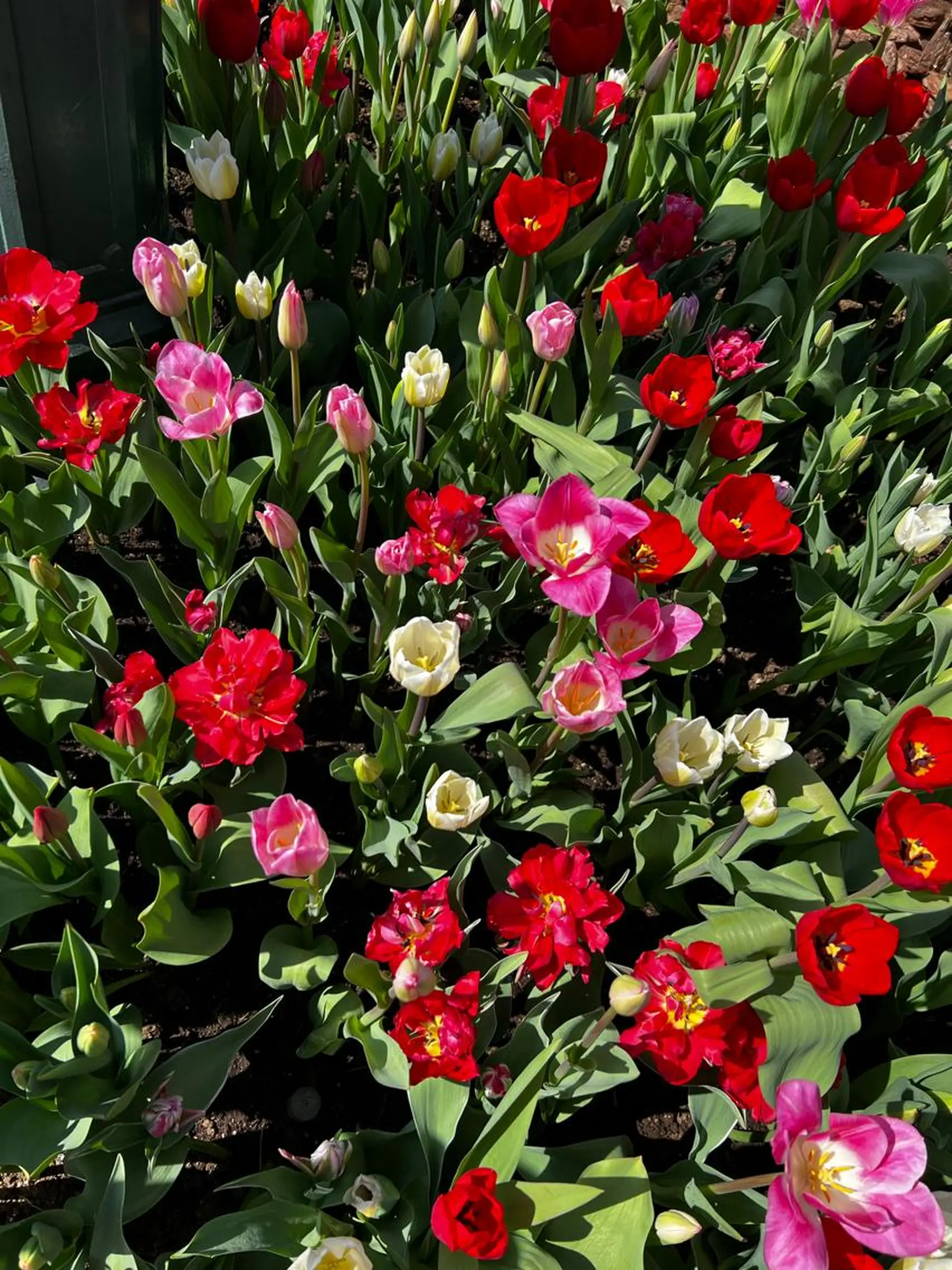 🅖🅤🅩🅔🅛 salonのエステ・リラクイメージ