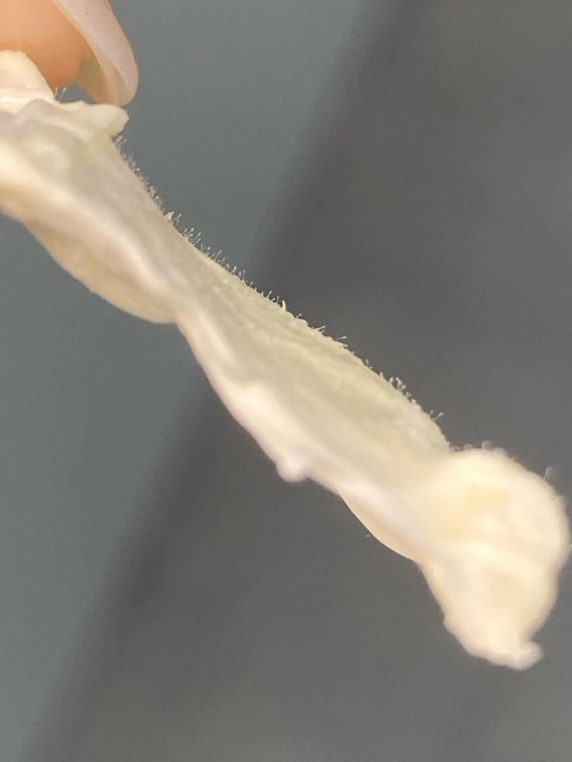 &me ayakaのエステ・リラクイメージ