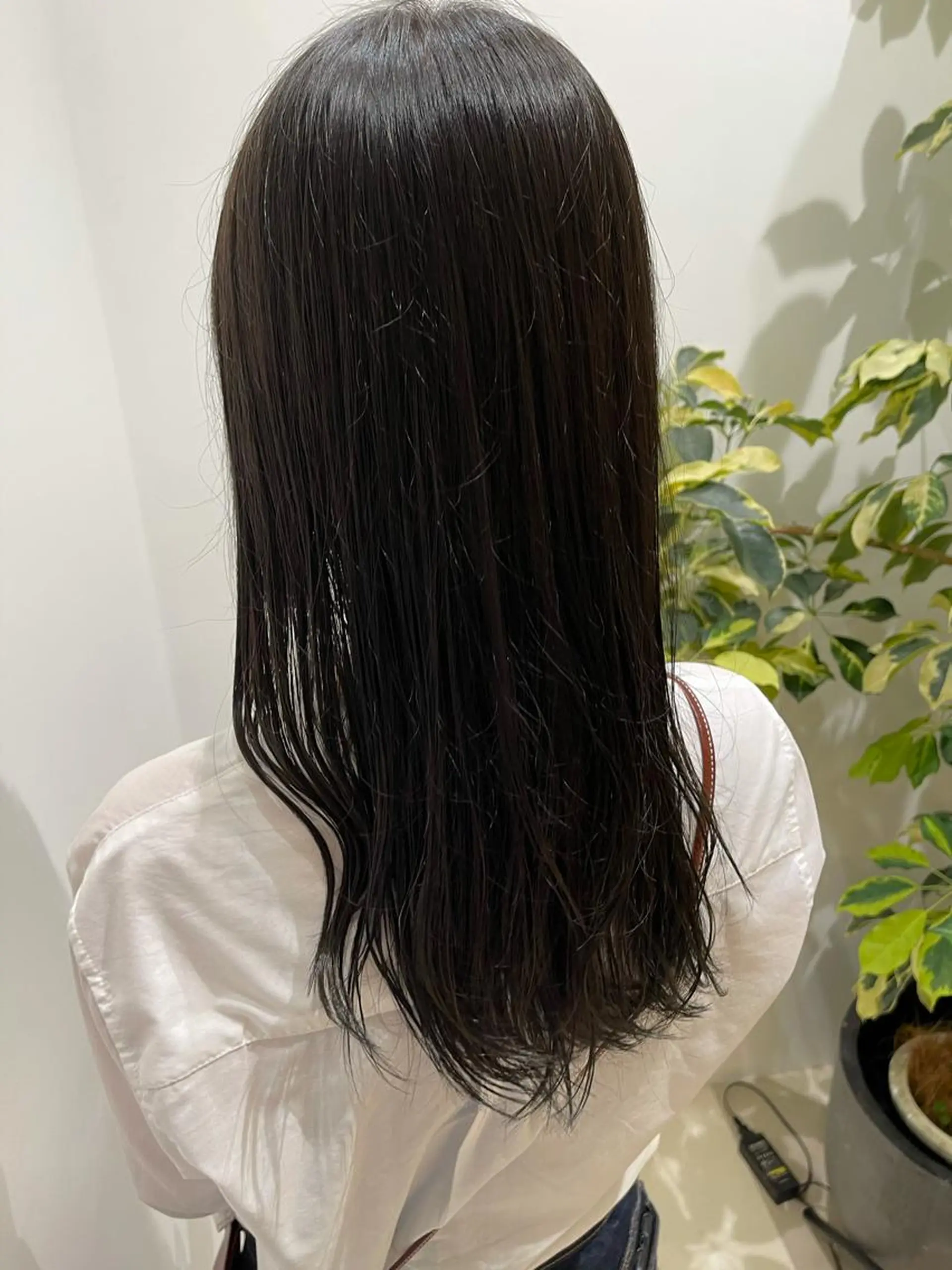 ロング カラー ヘアカラー トリートメント 蜂須賀🐝縮毛矯正 ストレートパーマのヘアスタイル