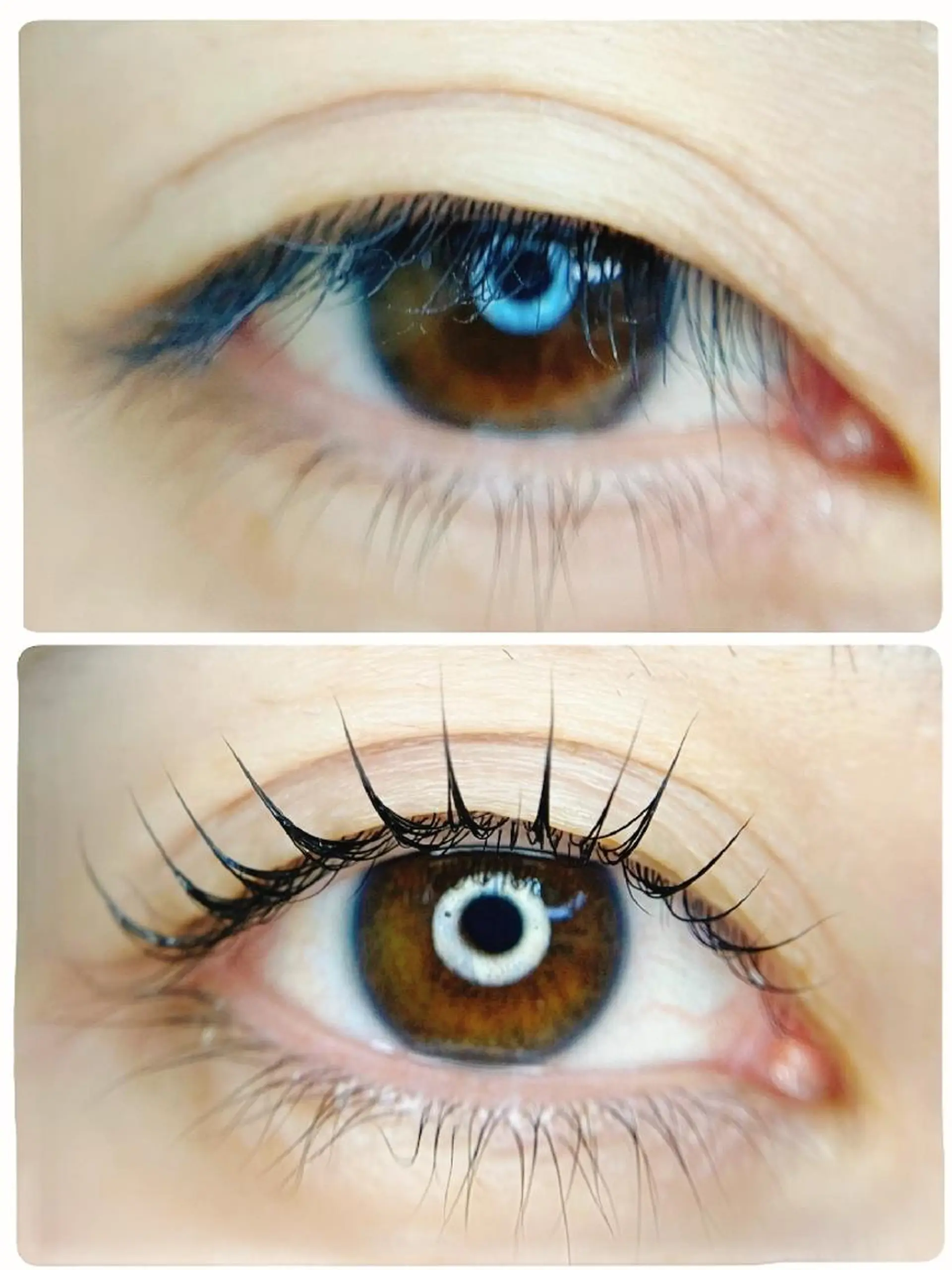 マツエク・マツパ マツパ venusbeautysalon所属・eye&beauty /オーナー古田琴のエステ・リラクイメージ