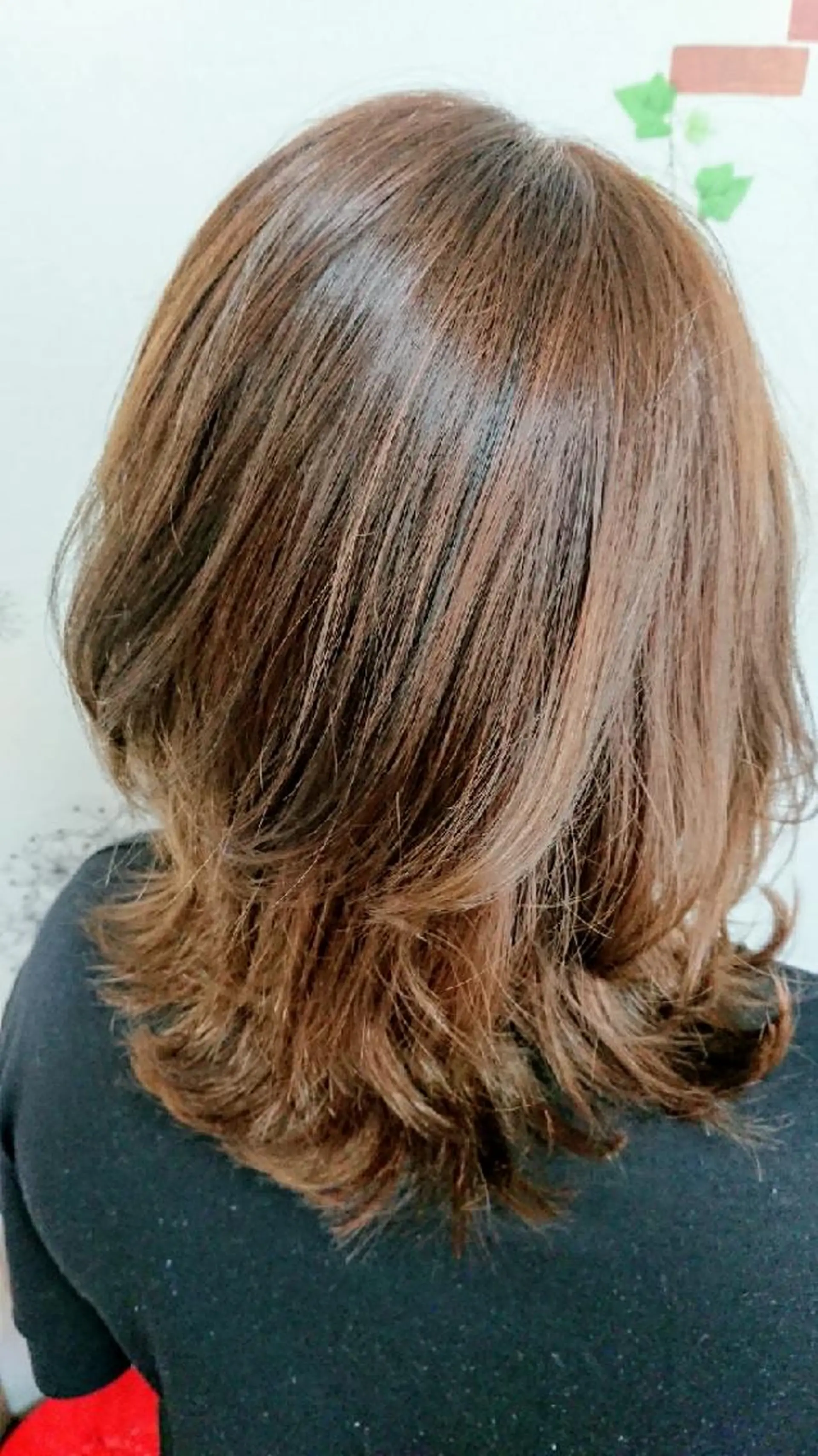 カラー LOREM   rei  のヘアスタイル