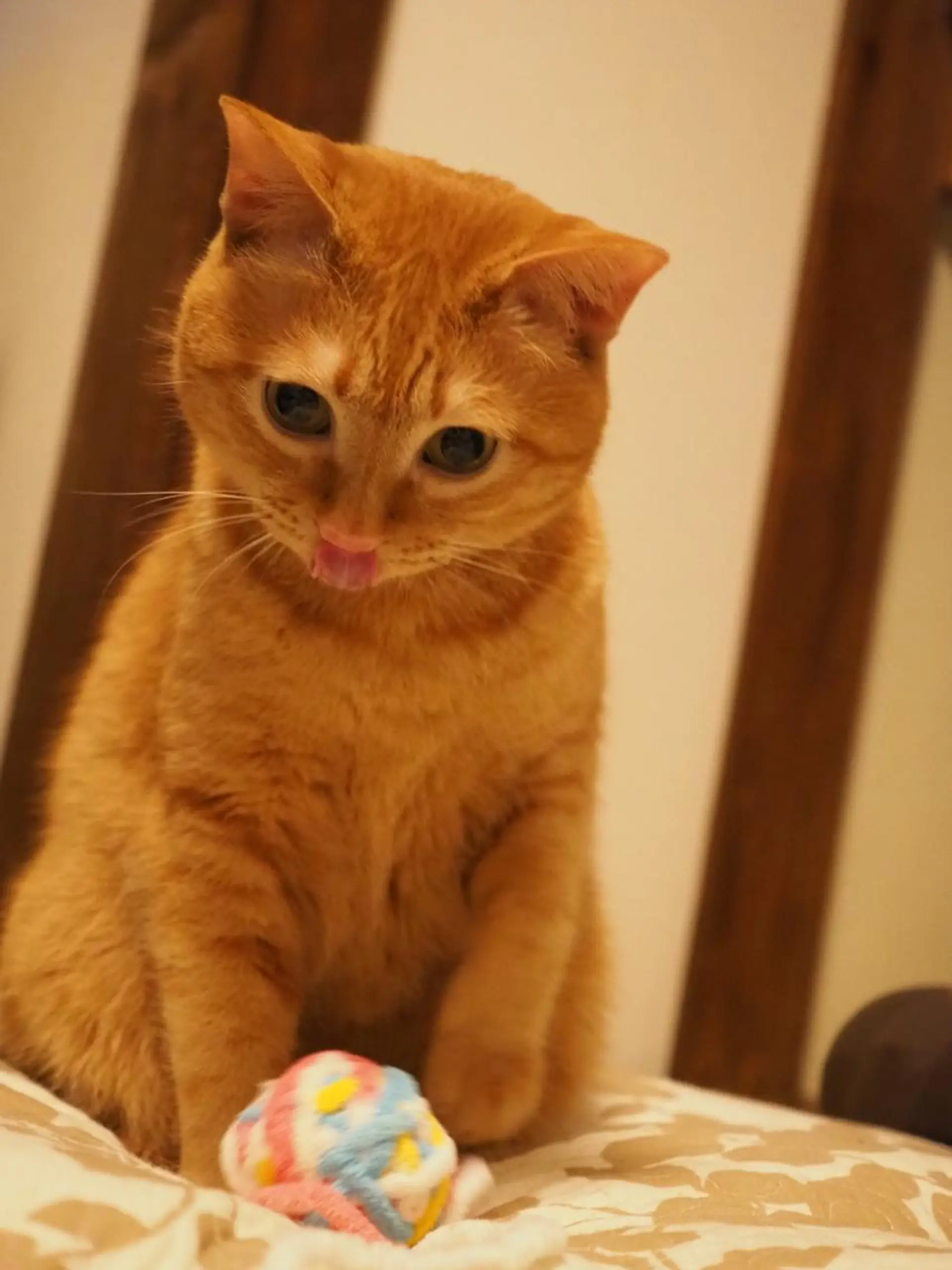 kiki nail 二子玉川のネイルデザイン