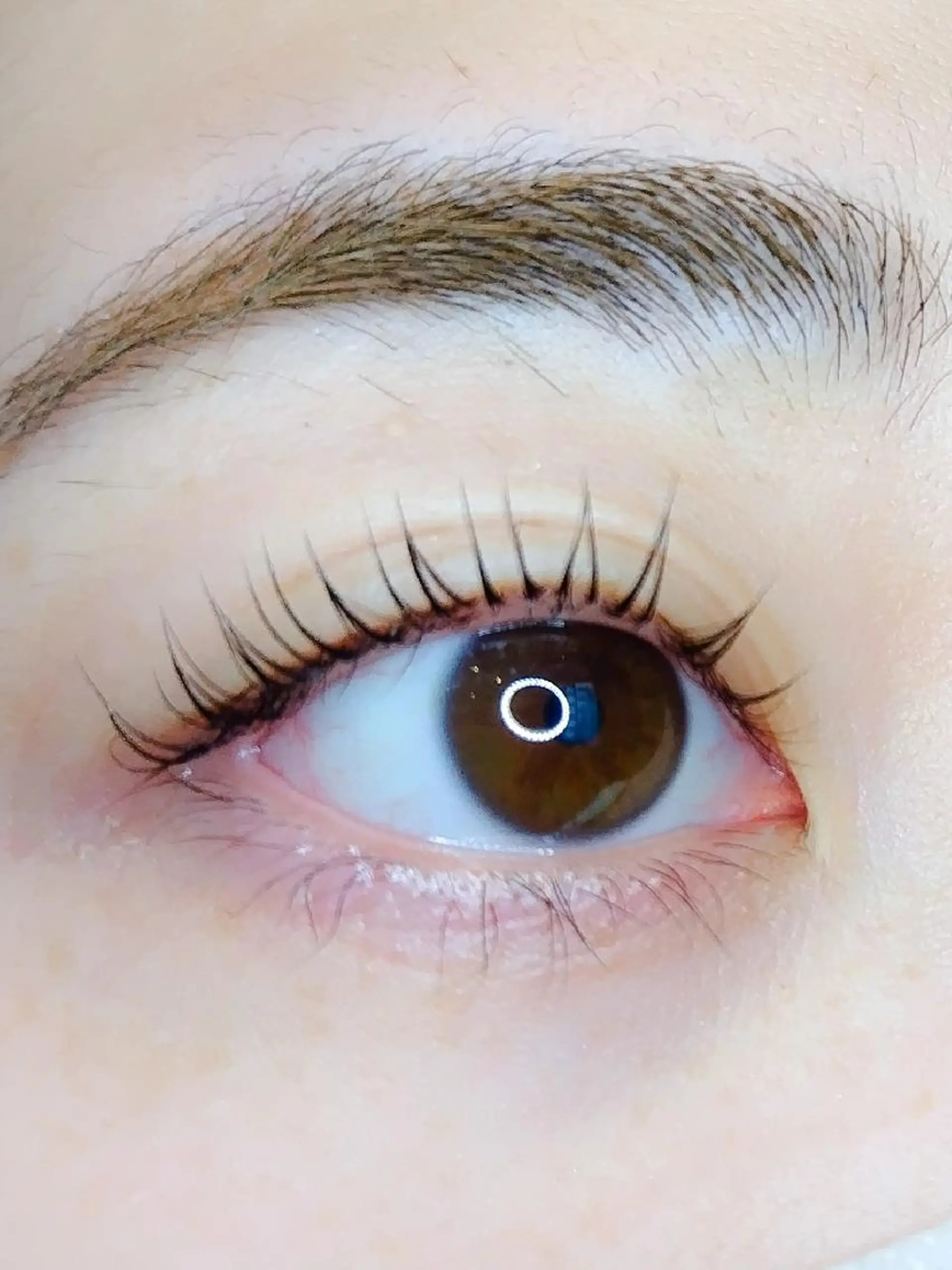 マツエク・マツパ パリジェンヌラッシュリフト MAXまつ毛& フェイシャルのマツエク・マツパデザイン