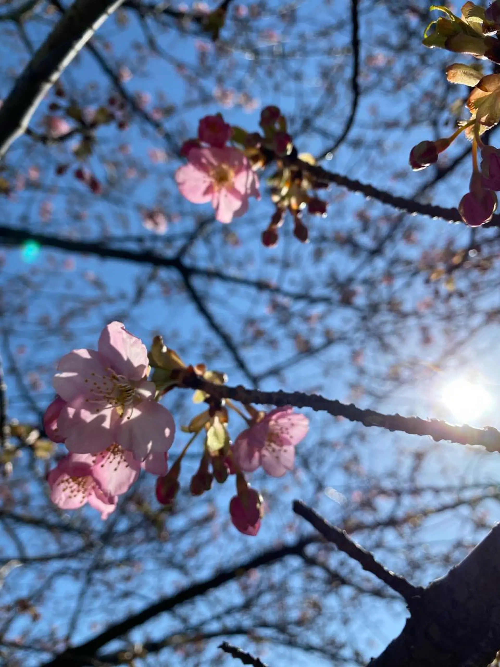 美時雨・bishigure所属・美時雨 bishigureのエステ・リラクイメージ