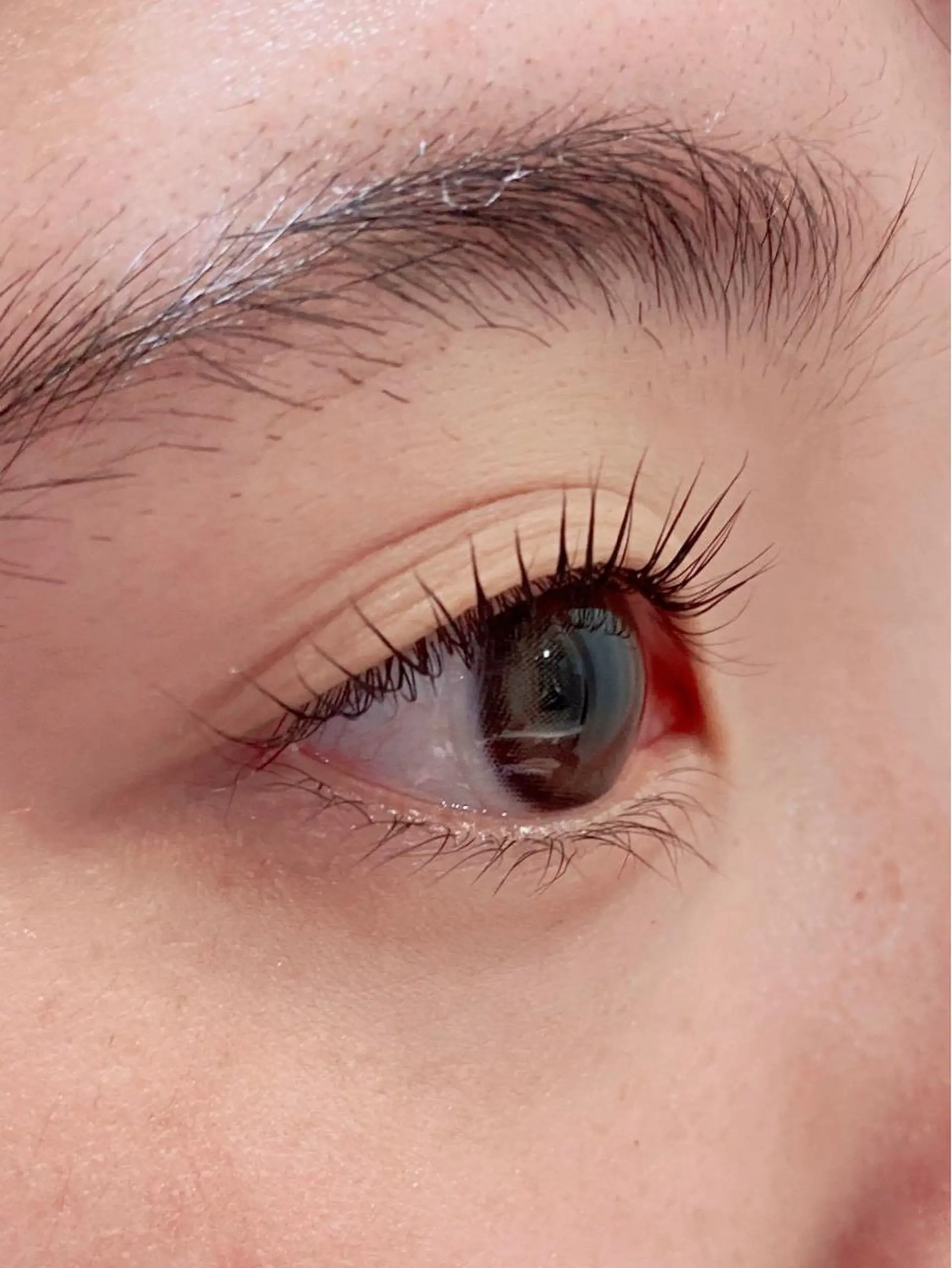 マツエク・マツパ マツパ 艶髪🌿美髪 大塚礼乃【西荻窪】のヘアスタイル