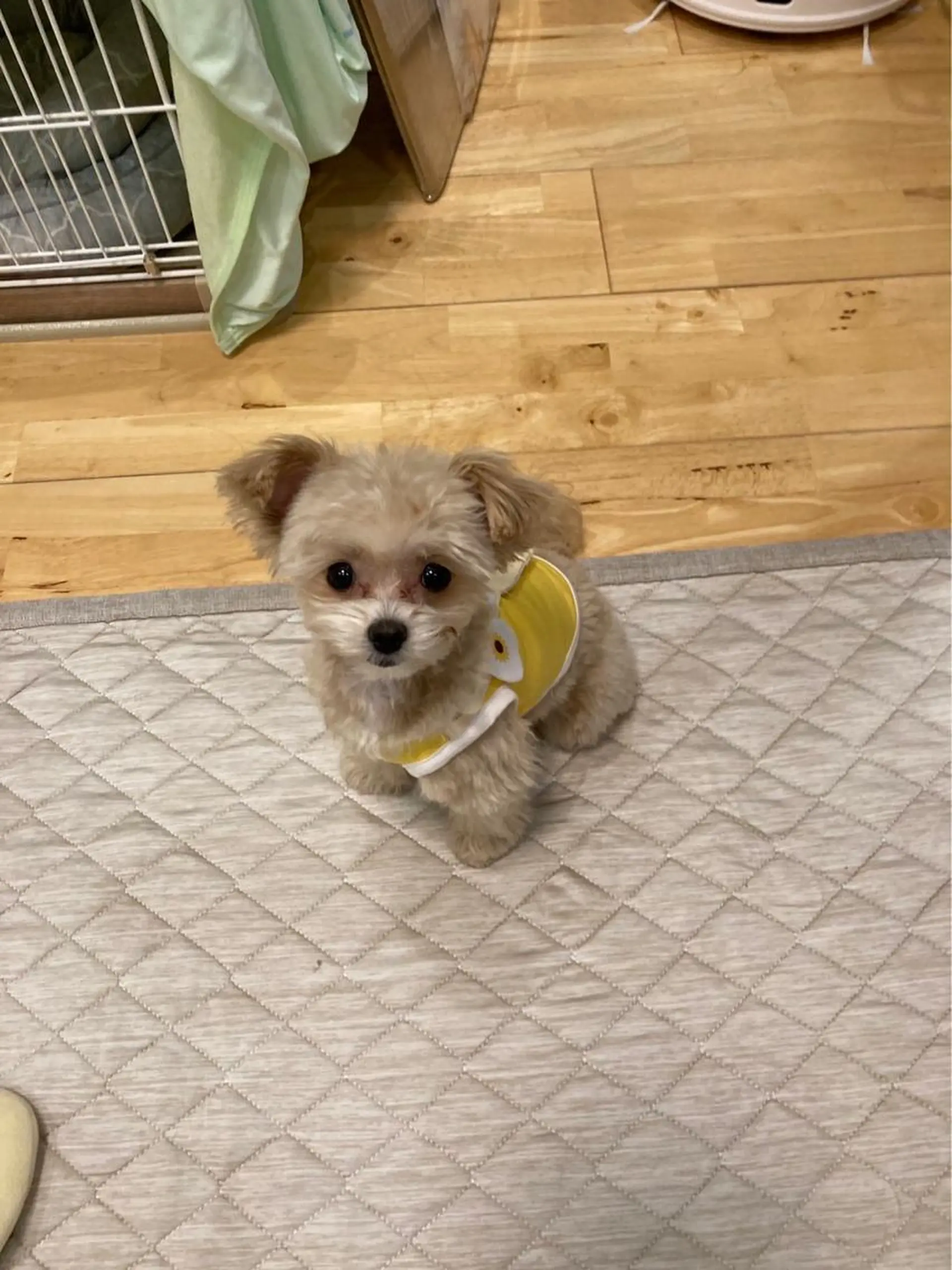 ネイル 韓国ネイル💠 Tomoのネイルデザイン