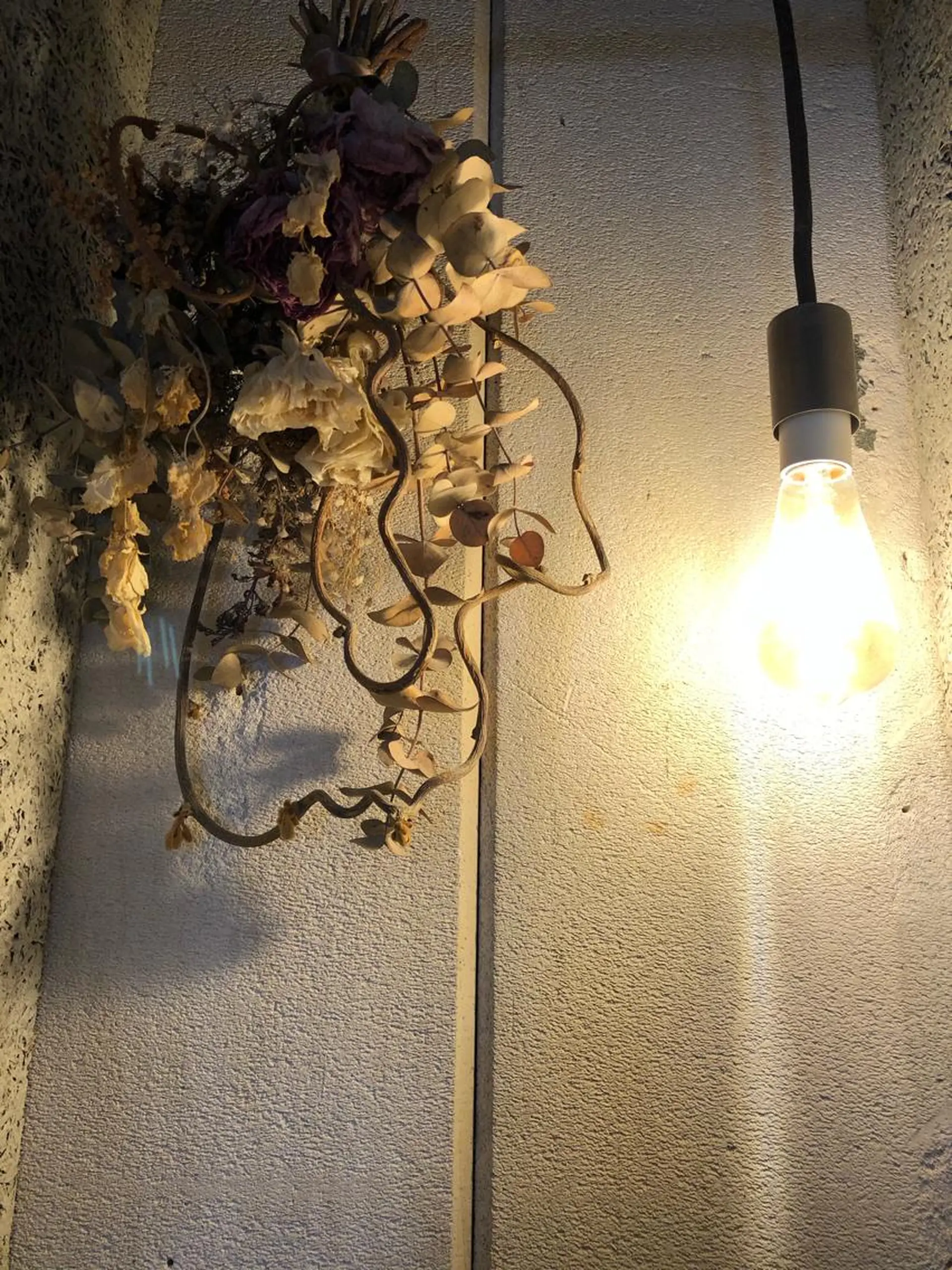 ✨terra✨佐伯 晋吾のヘアスタイル