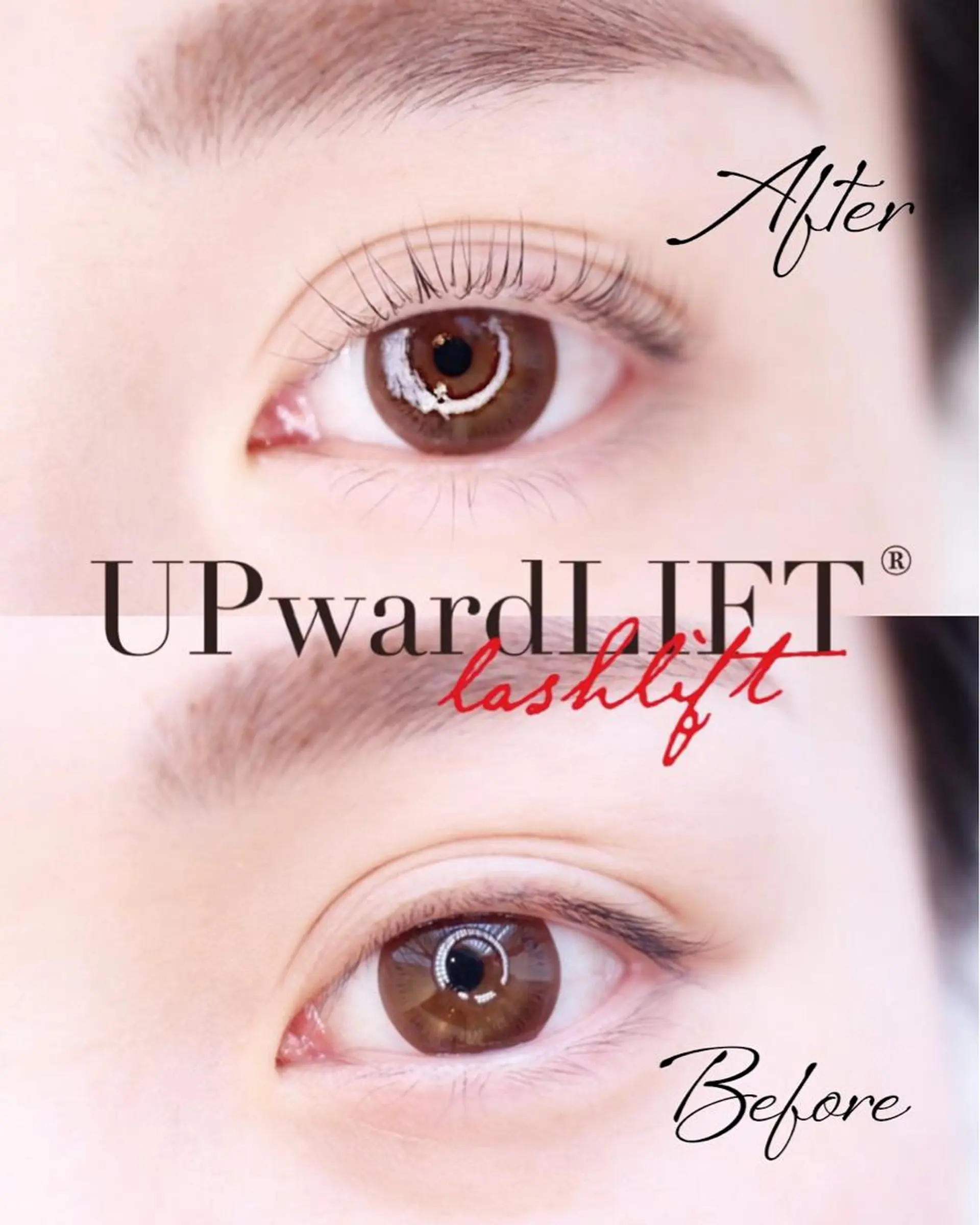 マツエク・マツパ まつげパーマ MANA まつげ・眉毛の眉毛・アイブロウイメージ