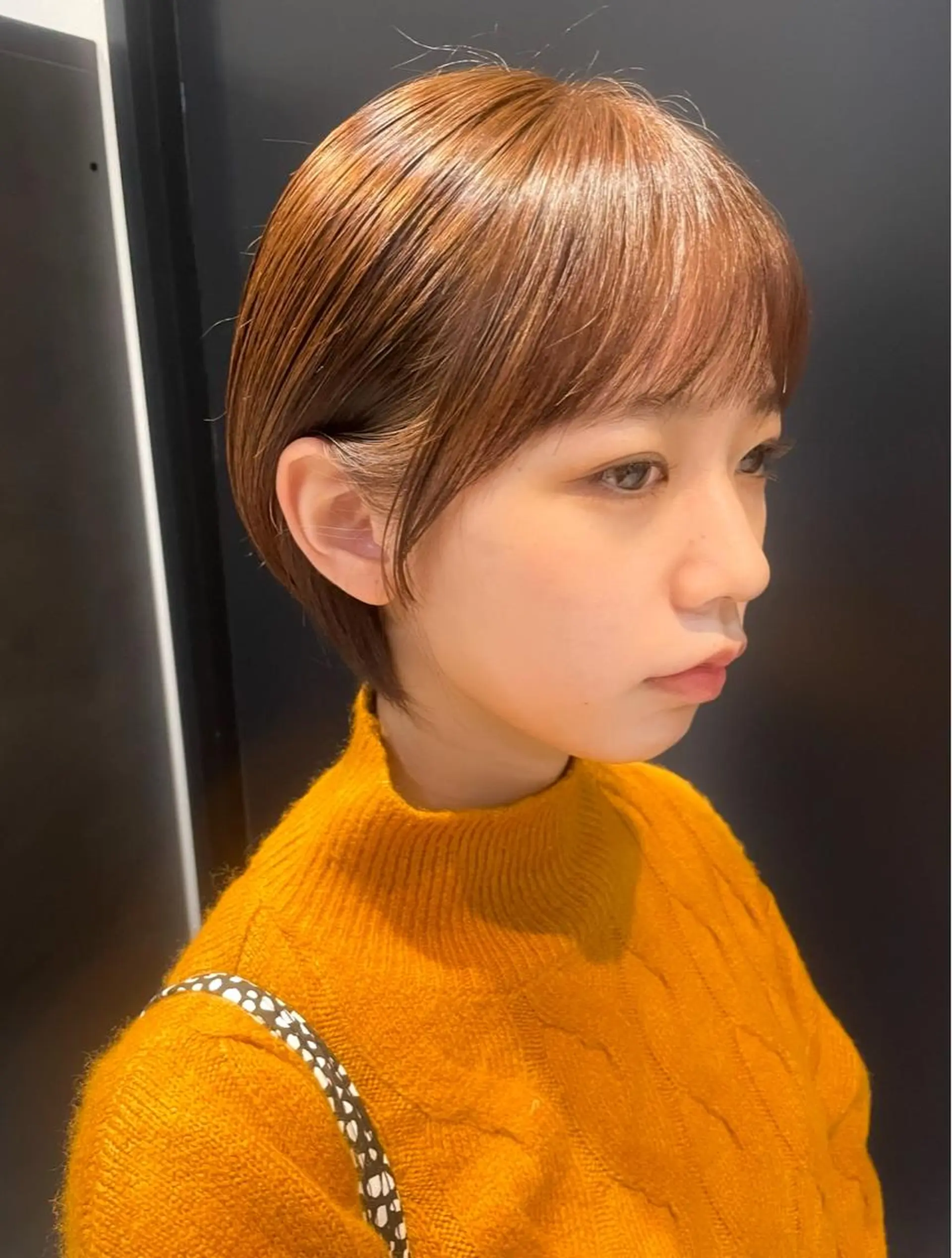 ショート ボブ デート ハイライト 髪質改善 韓国風ヘア カット ヘアカラー トリートメント 【20代ダメージ毛に 髪質改善】のヘアスタイル