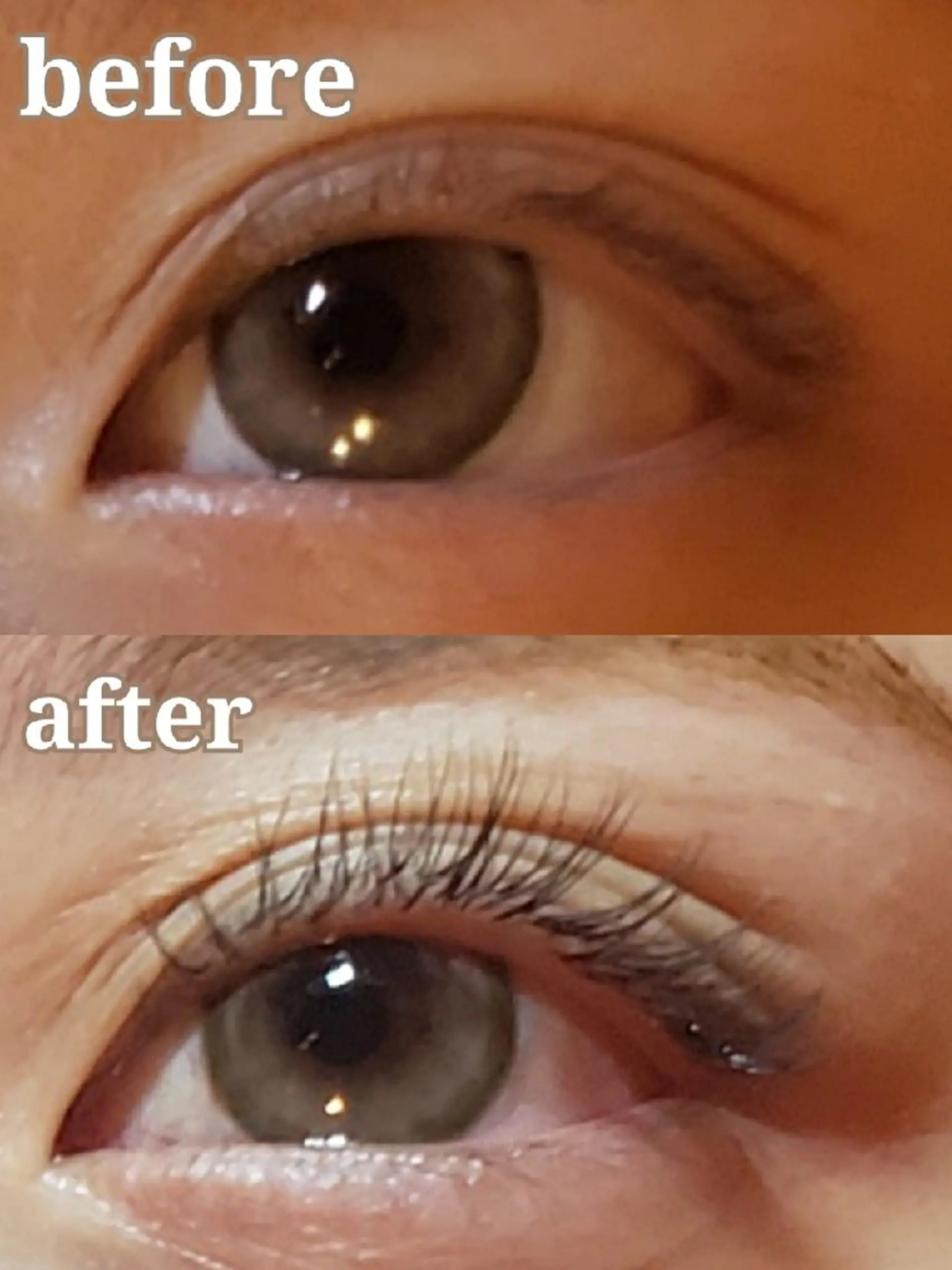 マツエク・マツパ Cカール マツエク トータルビューティー  バルフィット所属・冨永 小絵のマツエク・マツパデザイン