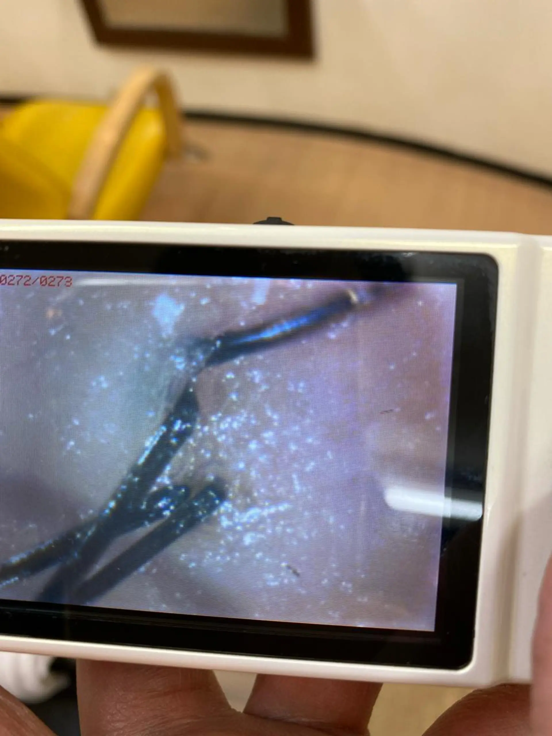 Etim豊田店所属・寺澤 🌈祐のヘアスタイル