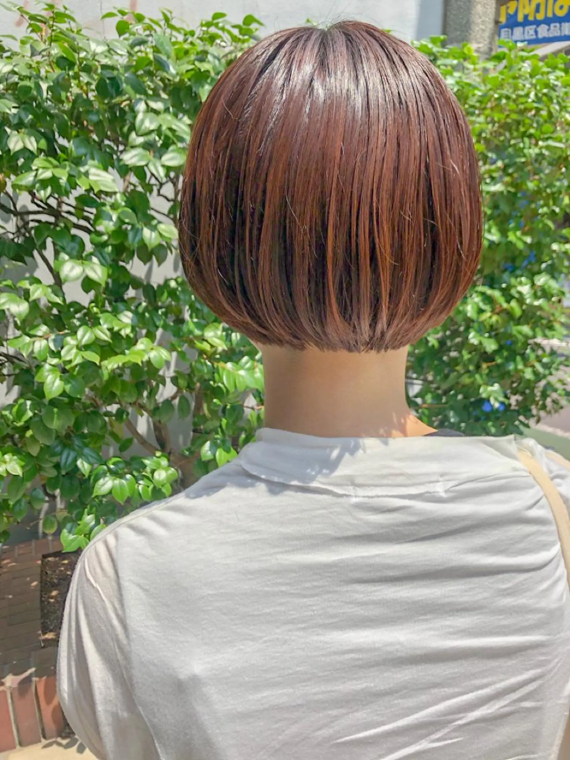 ショート カラー 長井 美佳のヘアスタイル