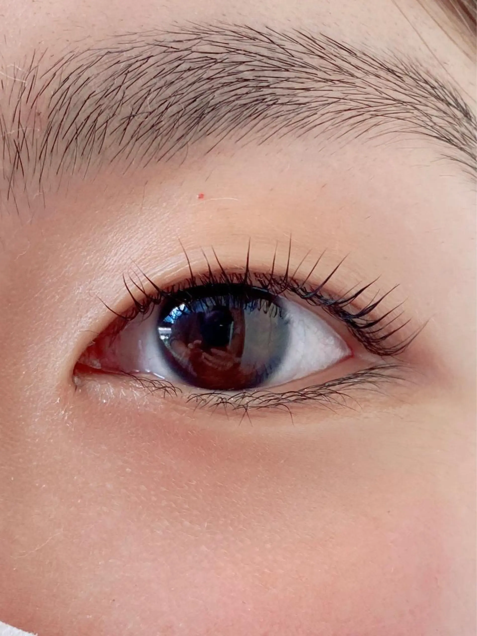 マツエク・マツパ マツパ 艶髪🌿美髪 大塚礼乃【西荻窪】のヘアスタイル