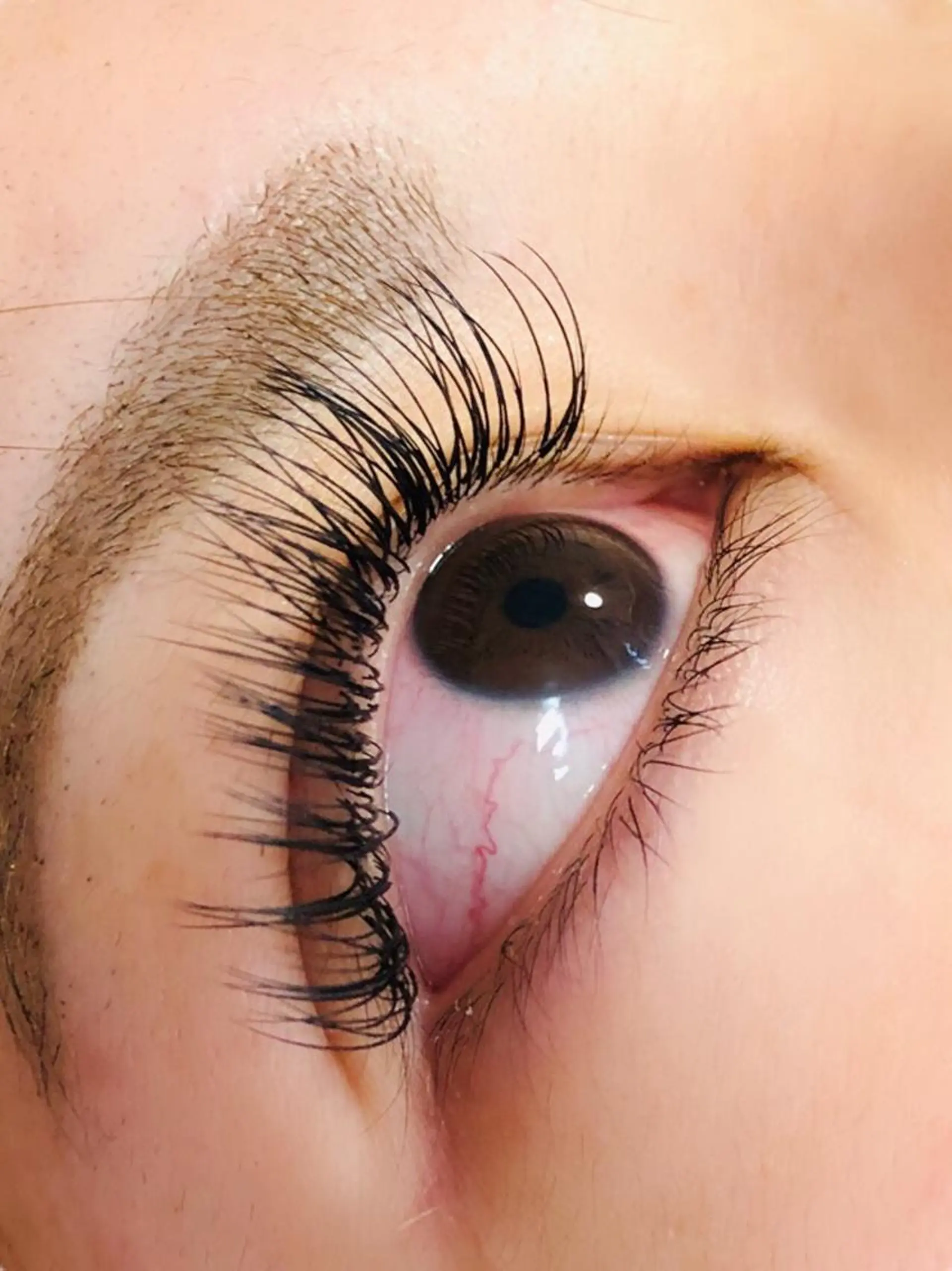 マツエク・マツパ セーブル Hug me eyelashのマツエク・マツパデザイン