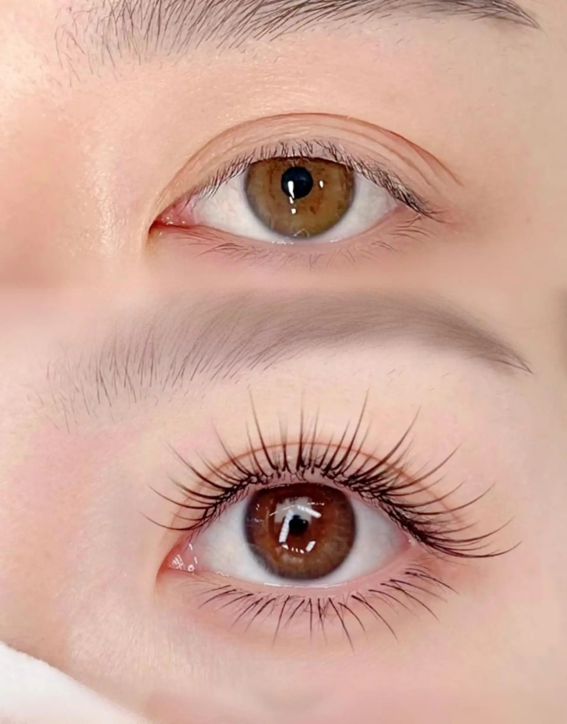 ネイル 🪞Purasia. 🫧韓国肌管理💎の眉毛・アイブロウイメージ