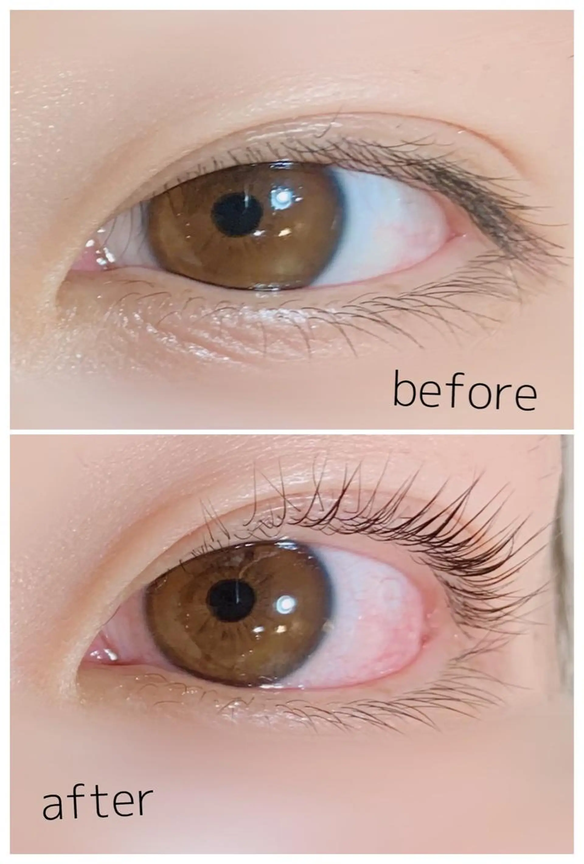 マツエク・マツパ CLOVER一宮店所属・岩佐 朋香のマツエク・マツパデザイン