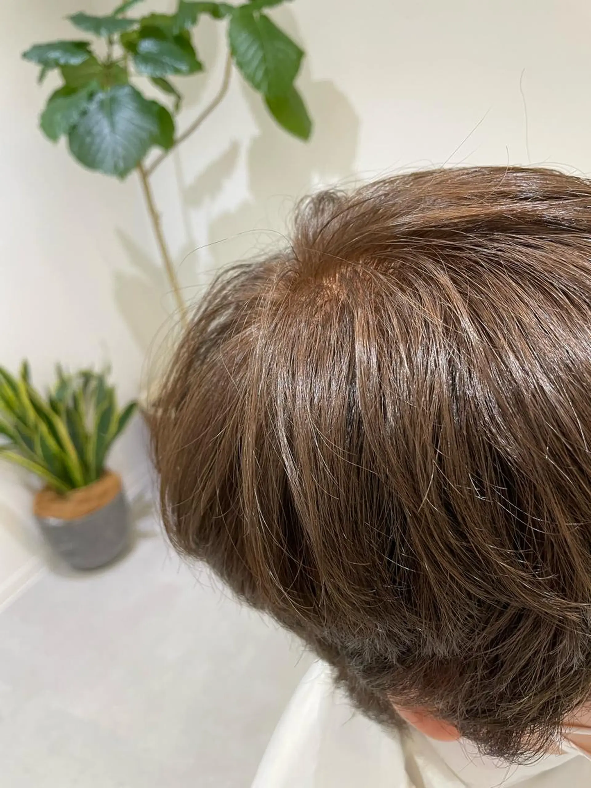 ショート Seen.所属・吉野 智行のヘアスタイル