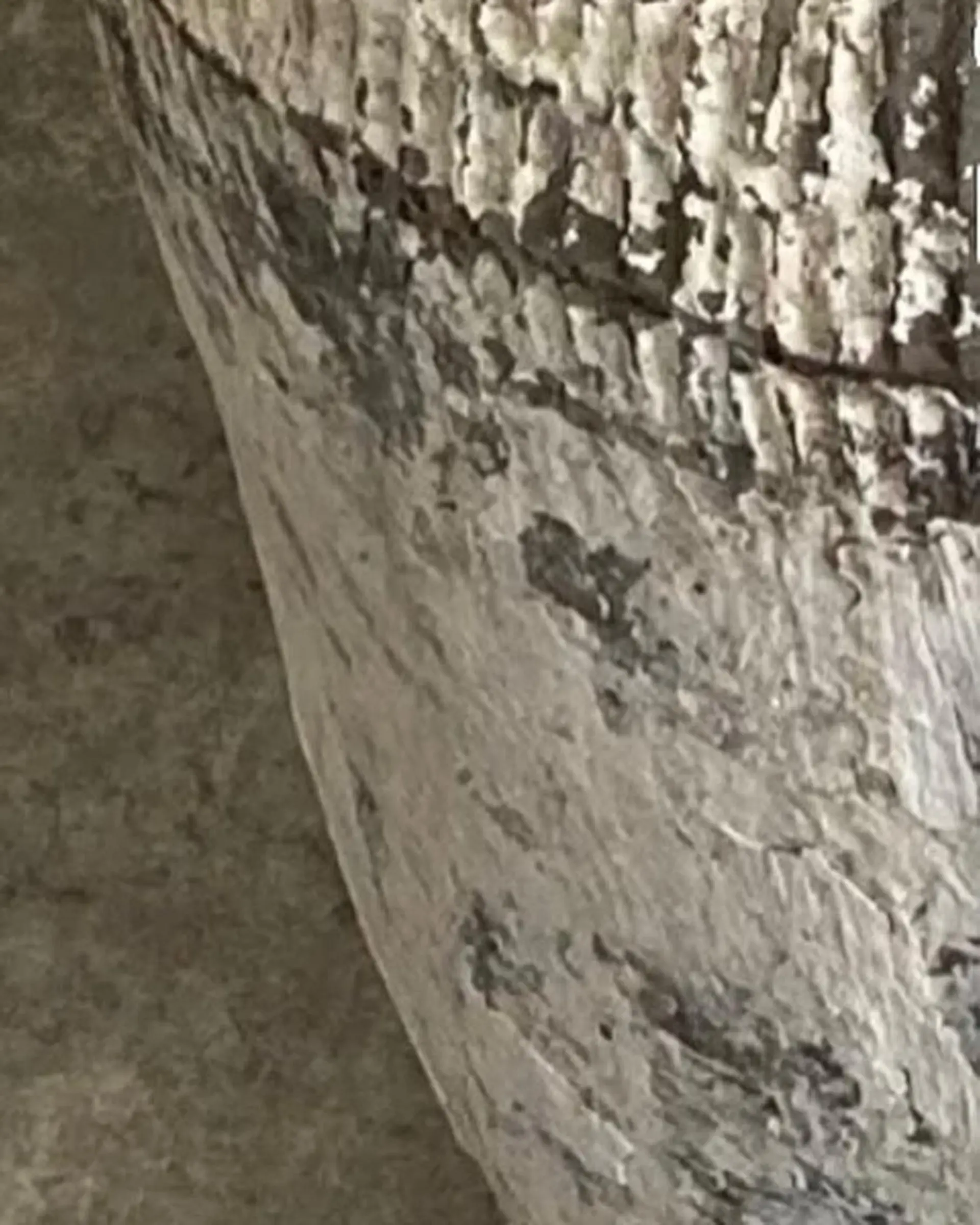 ネイル oak nail所属・óæk nailのネイルデザイン