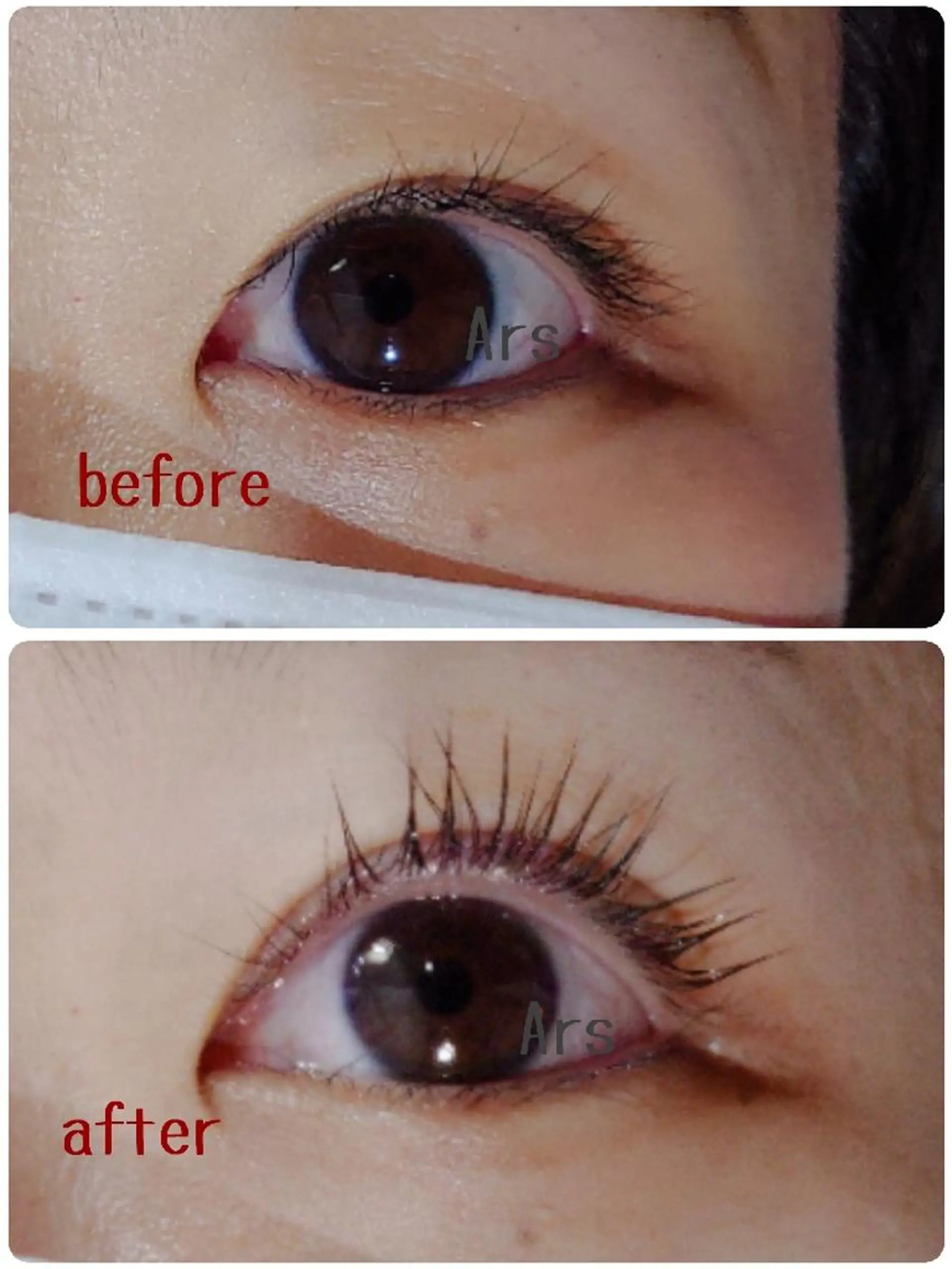 マツエク・マツパ アイリッドアップパーマ Ars  (ｱﾙｽ)所属・Ars      (ｱﾙｽ)のマツエク・マツパデザイン