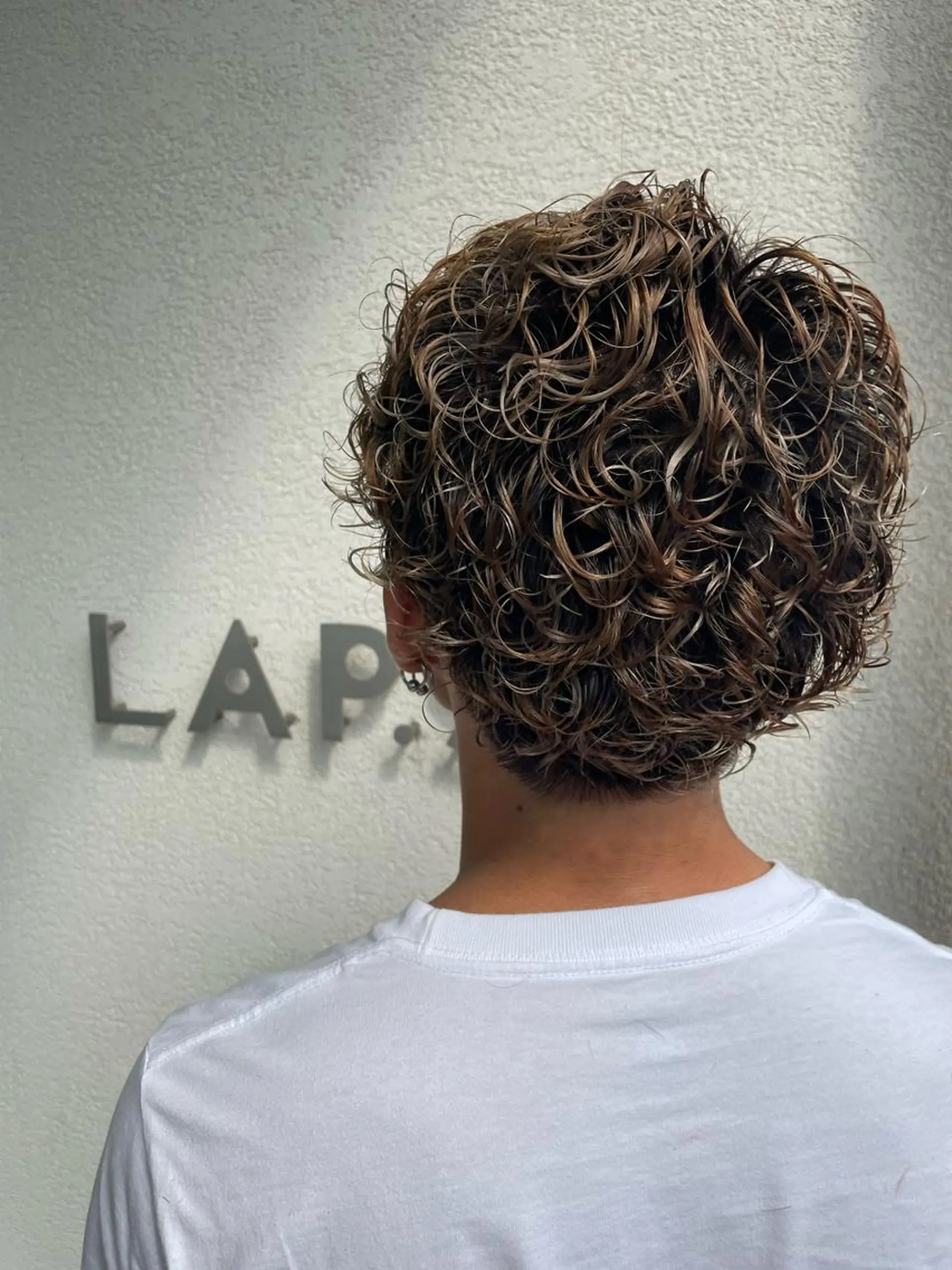 ショート パーマ メンズ メンズパーマ プードルパーマ プードルパーマ LAP.s所属・LAP.s 中嶋　諒のヘアスタイル