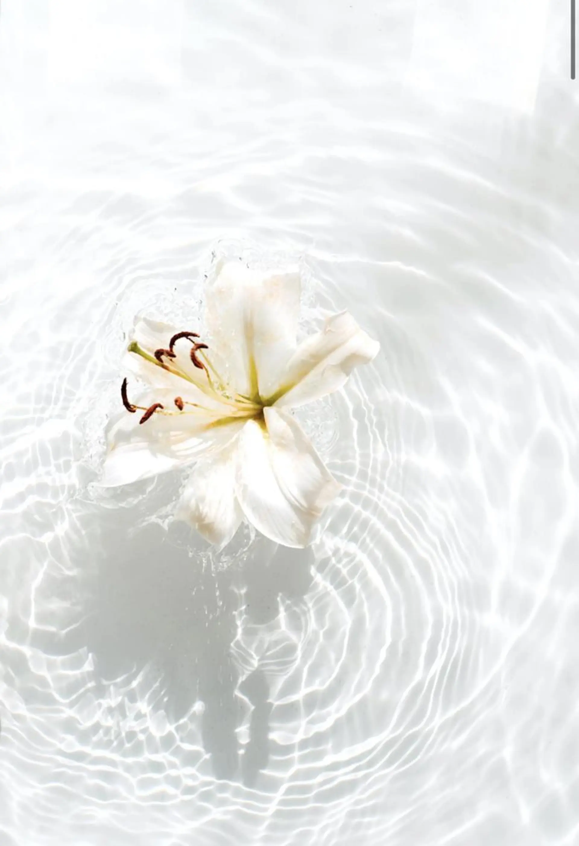 FLEUR🫧 フェイシャルのエステ・リラクイメージ