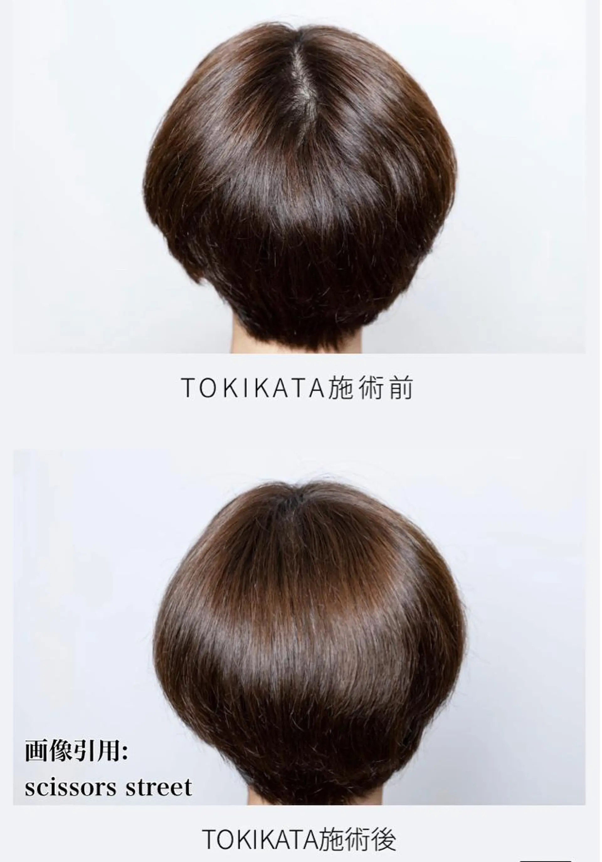 ショート カット 渡辺 亮/ 白髪ぼかし/髪質改善のヘアスタイル