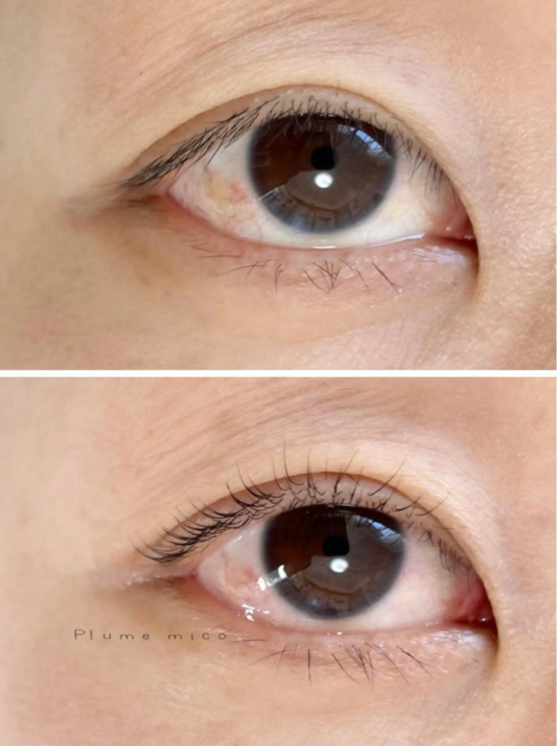 マツエク・マツパ マツパ Plume micoのマツエク・マツパデザイン