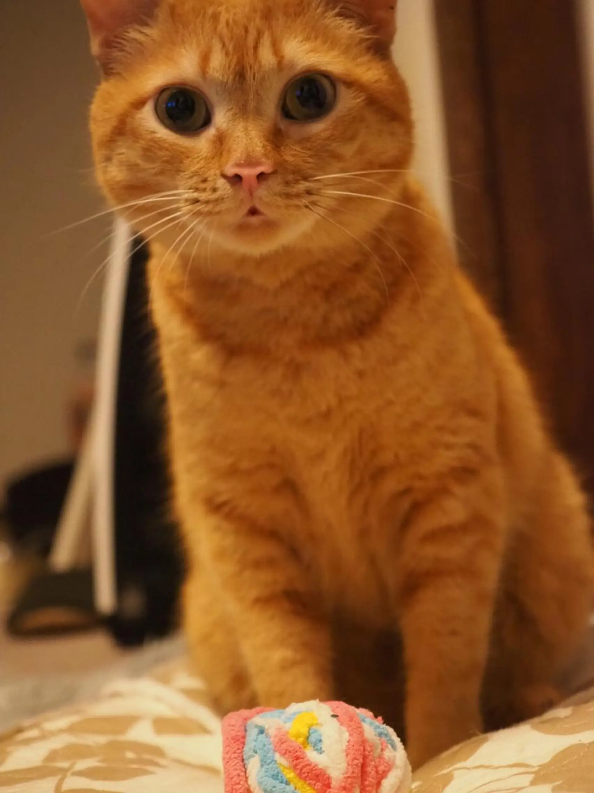 kiki nail 二子玉川のネイルデザイン