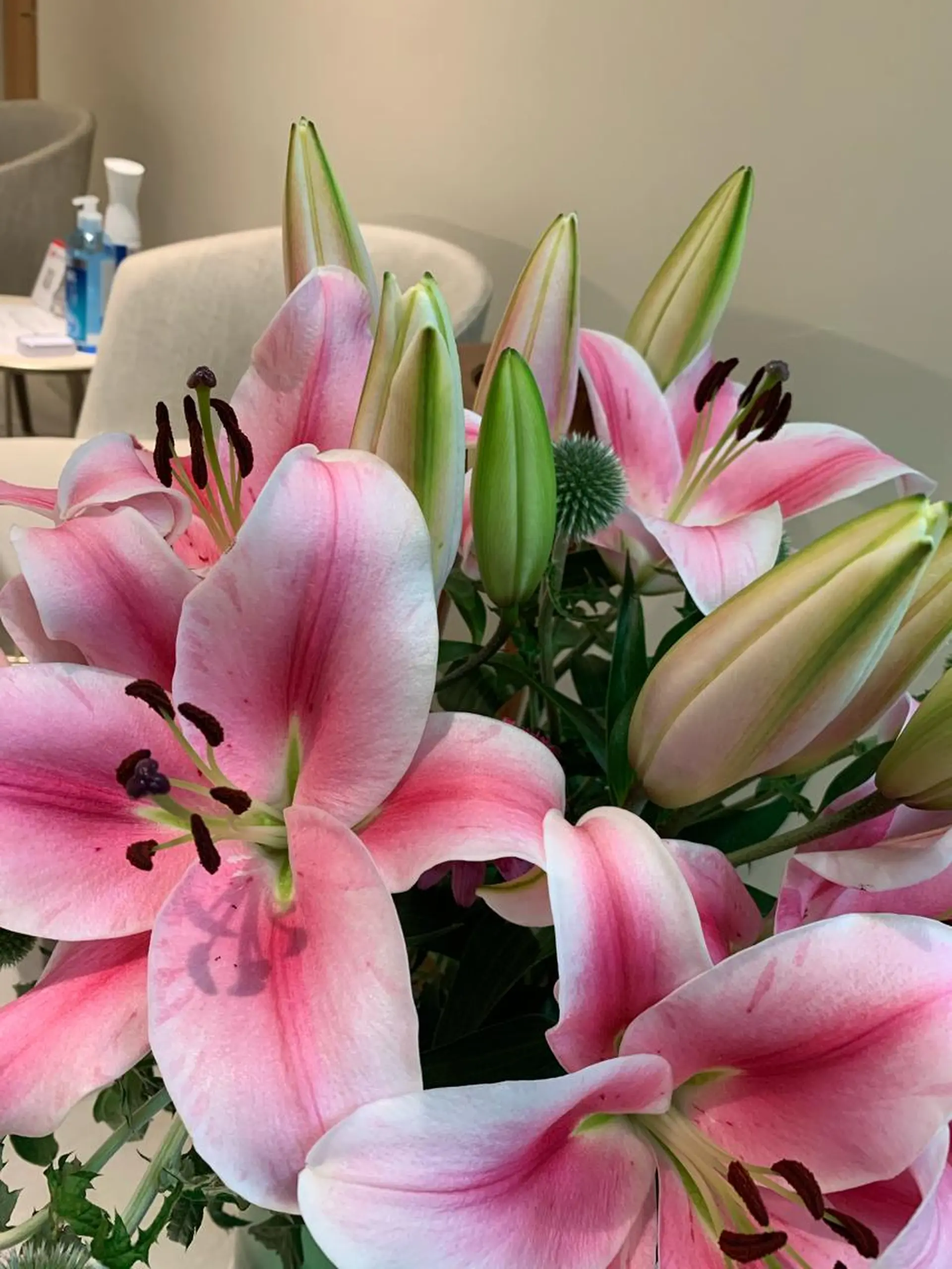 CHERIE所属・CHERIE Hisadaのエステ・リラクイメージ