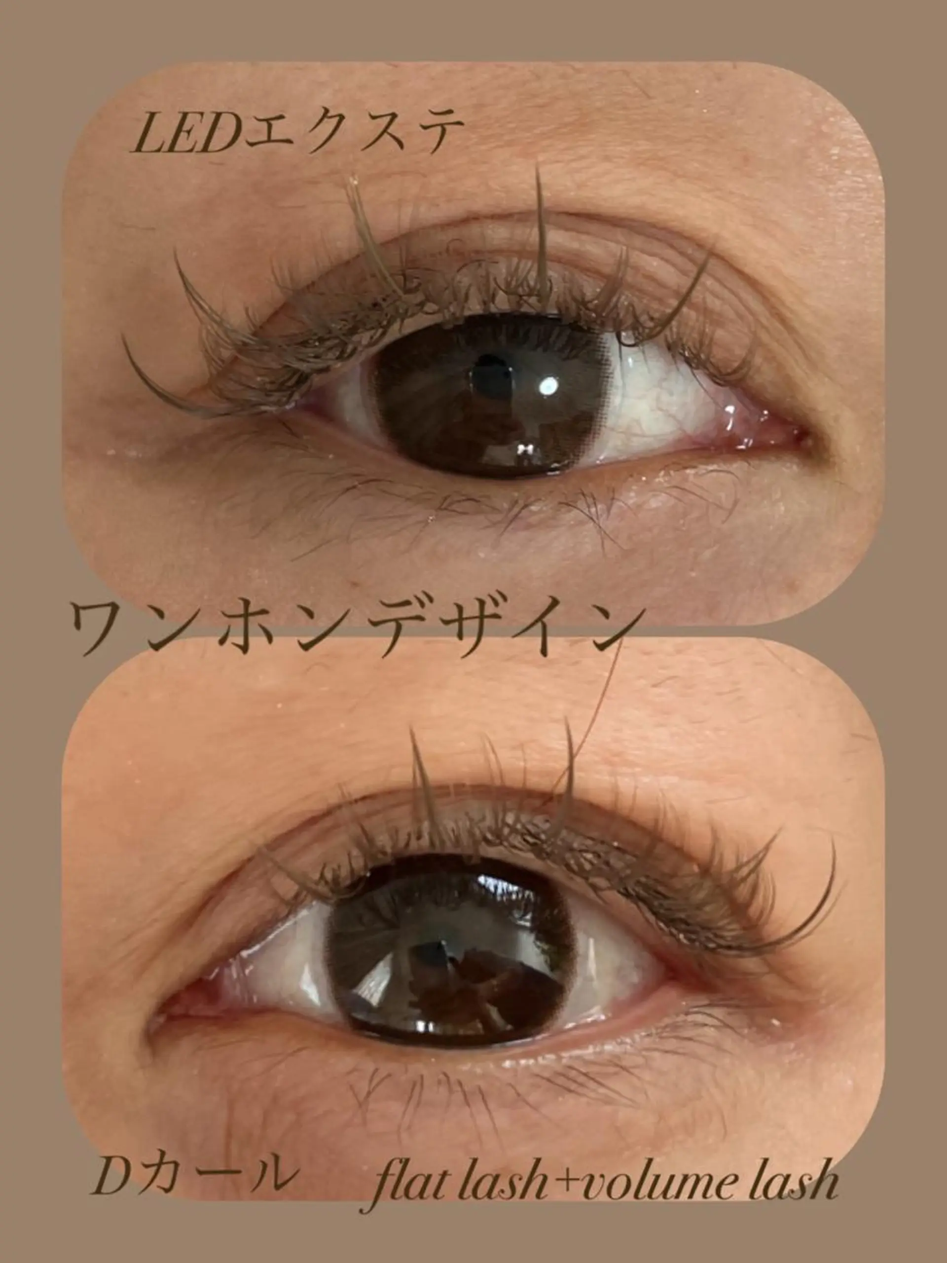 マツエク・マツパ 戸田 早耶のマツエク・マツパデザイン