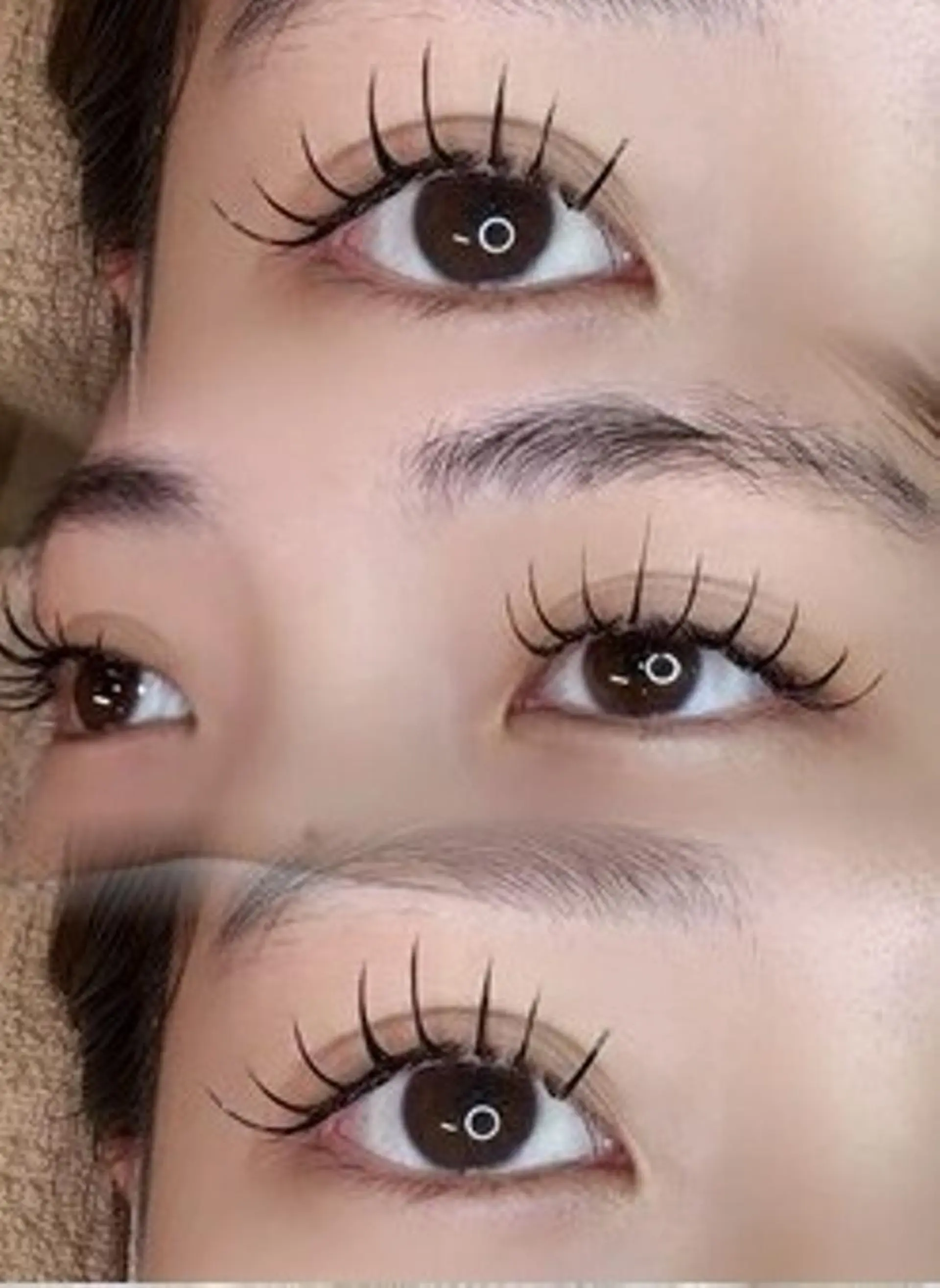 マツエク・マツパ 🪞Purasia. 🫧韓国肌管理💎の眉毛・アイブロウイメージ