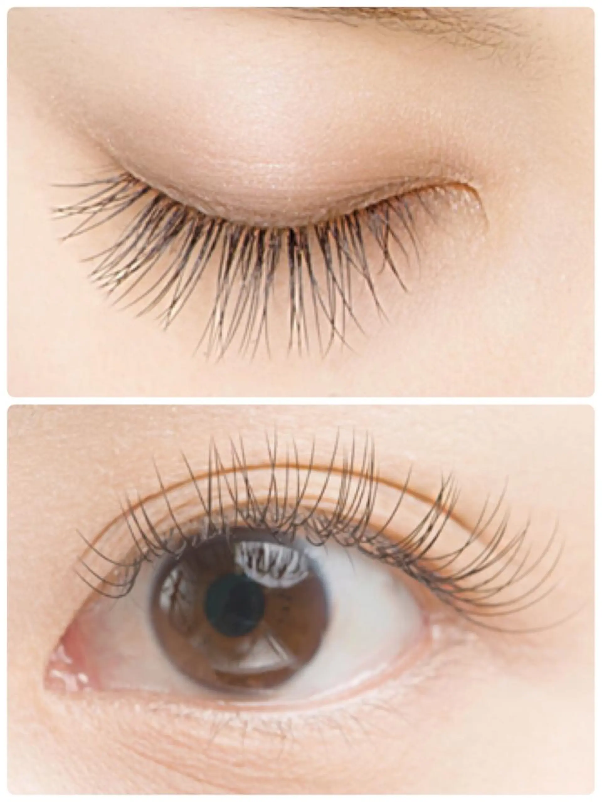 マツエク・マツパ マツエク 六花〜rikka〜所属・六花 〜rikka〜のマツエク・マツパデザイン