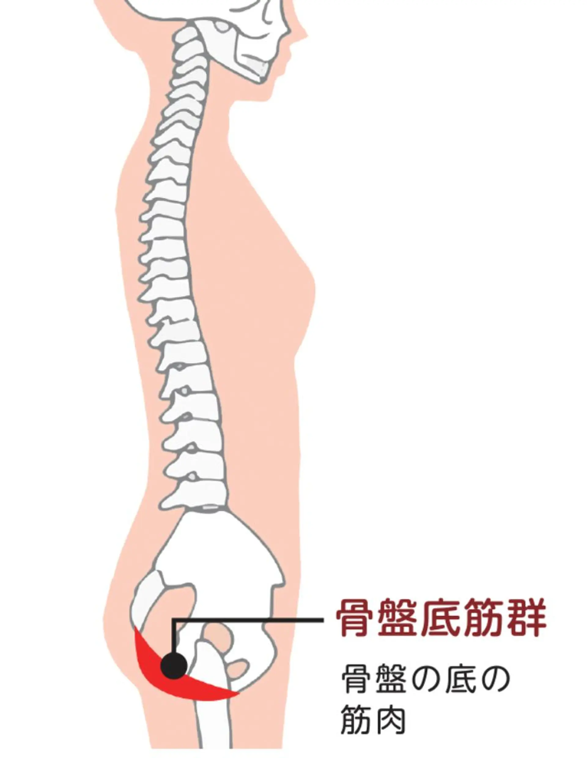 【肩こり】【腰痛】癒しのボディメンテサロンBMS金沢所属・野村 千代美のエステ・リラクイメージ
