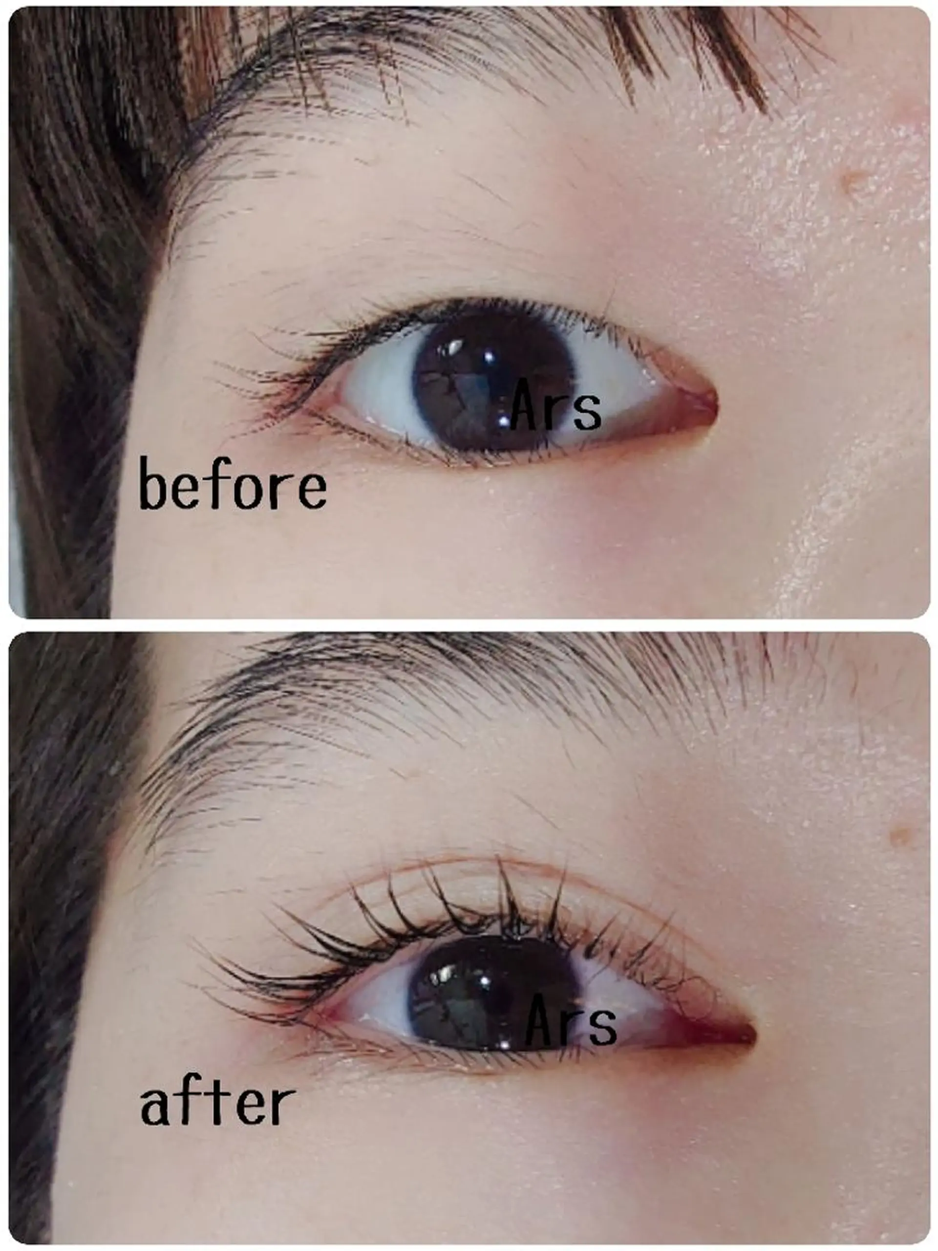 マツエク・マツパ アイリッドアップパーマ Ars  (ｱﾙｽ)所属・Ars      (ｱﾙｽ)のマツエク・マツパデザイン