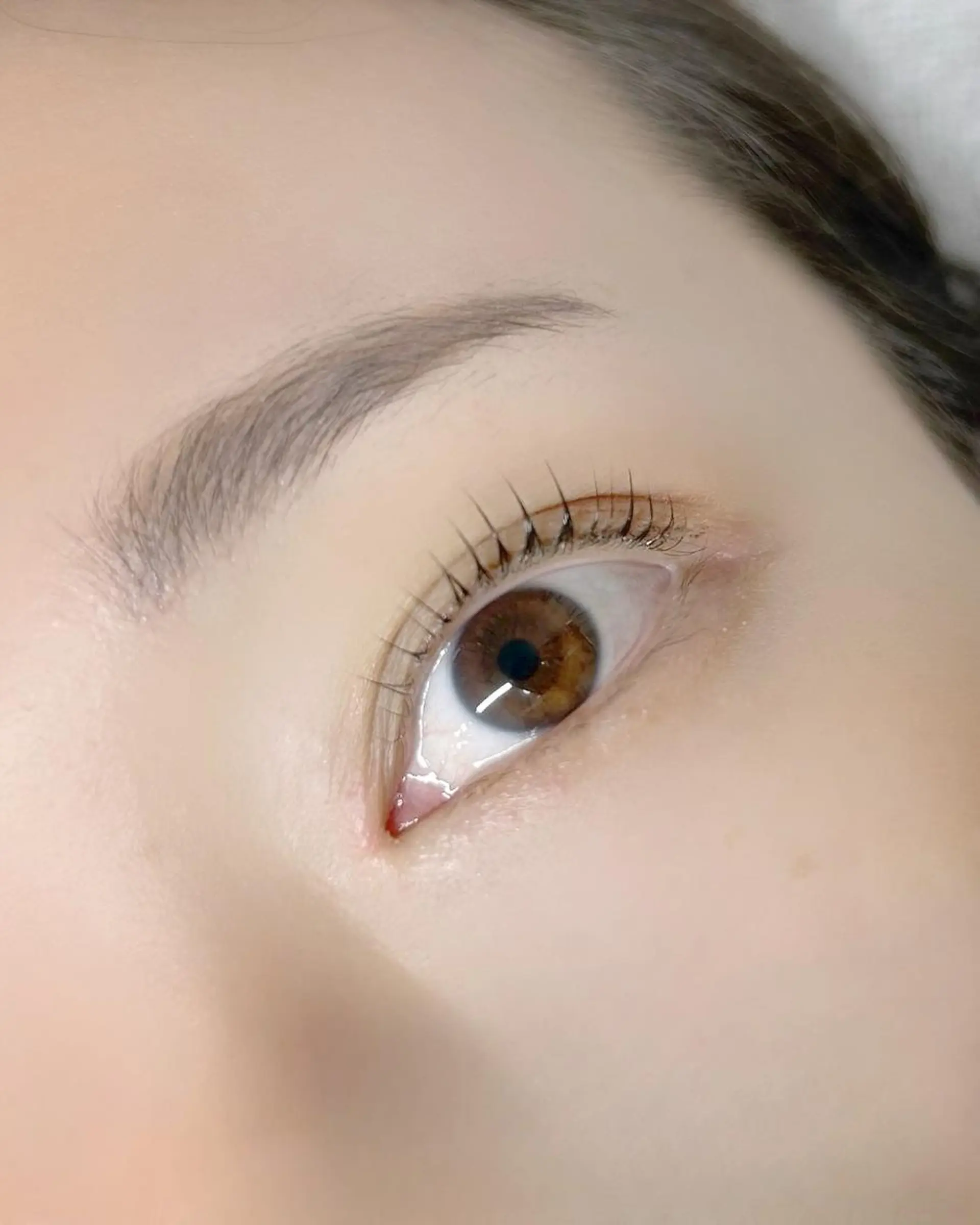 マツエク・マツパ マツパ lieu pré eyelashの眉毛・アイブロウイメージ