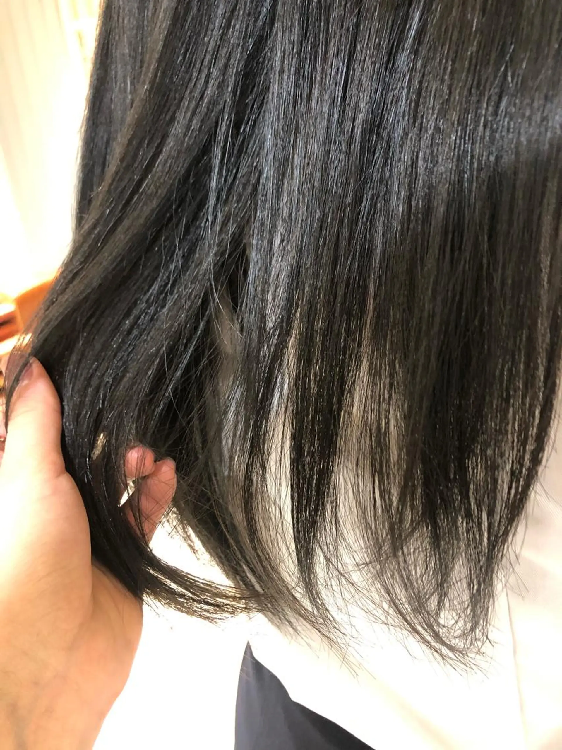 カラー 黒髪 ブルーカラー ブルーブラック Maho🍃 #池袋 #眉毛 #実績豊富の眉毛・アイブロウイメージ