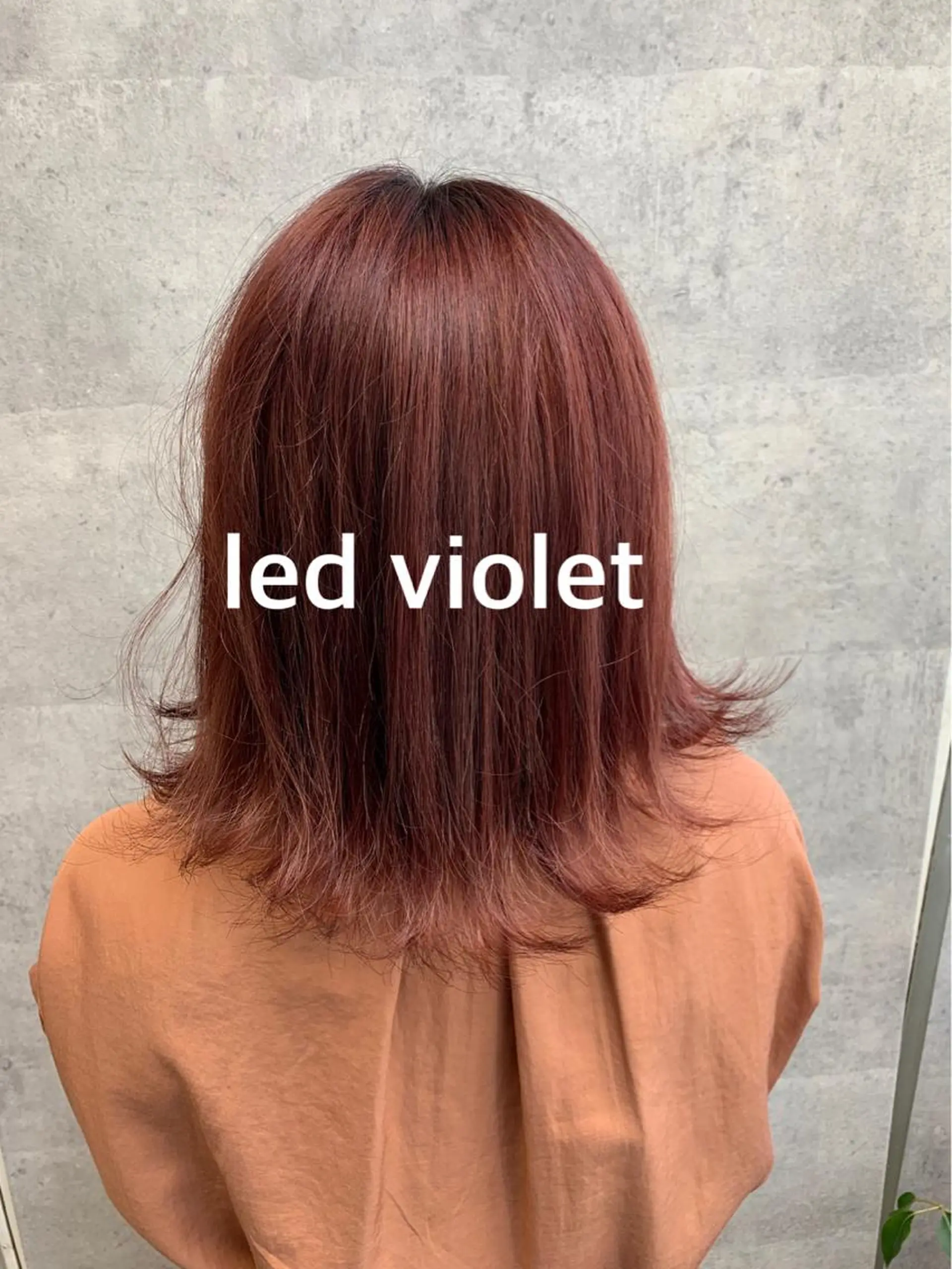 ミディアム カラー ブリーチ レッドカラー バイオレットカラー ヘアカラー Chara Chalone所属・今野 美栄のヘアスタイル