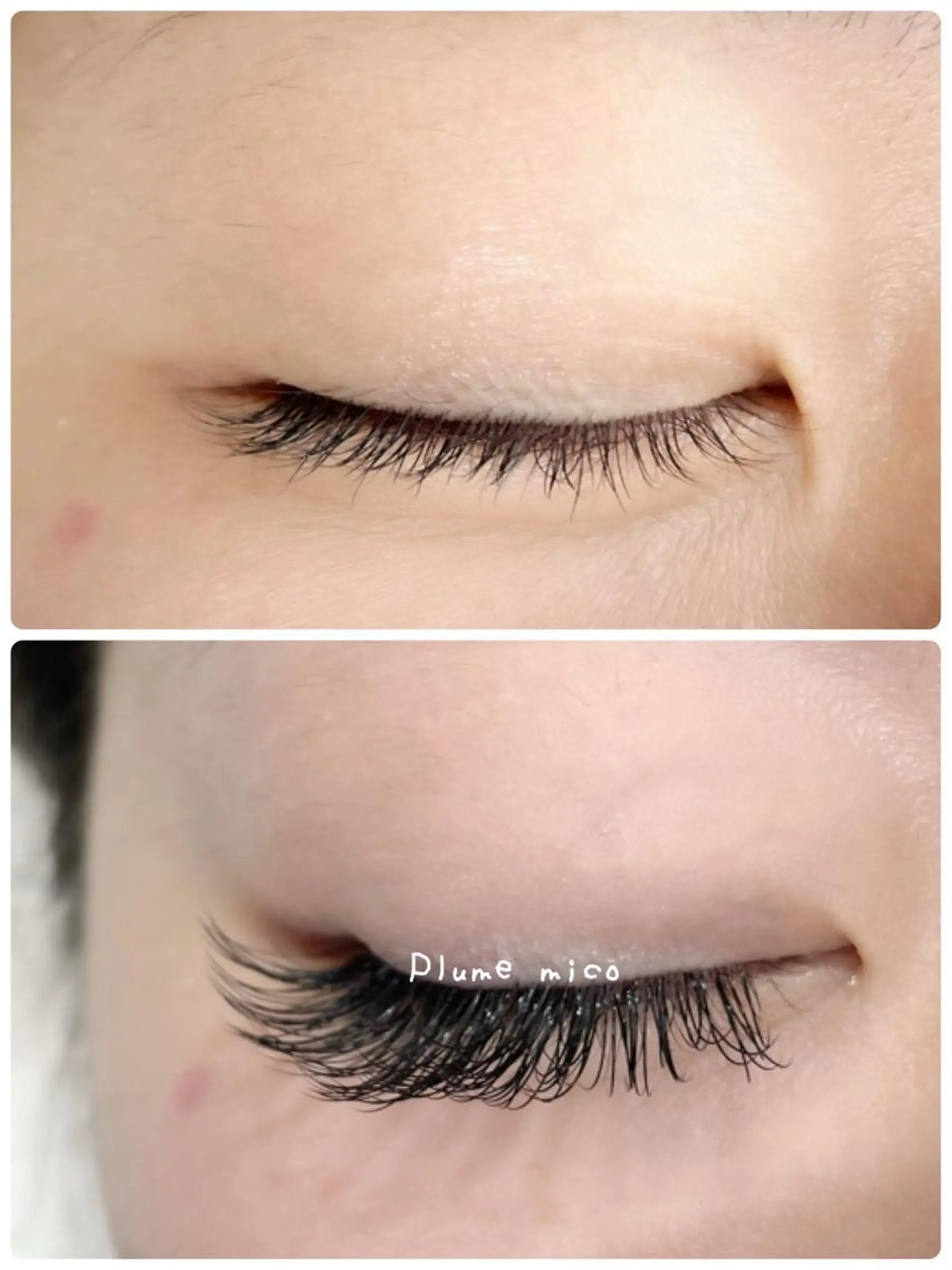 マツエク・マツパ マツエク Plume micoのマツエク・マツパデザイン