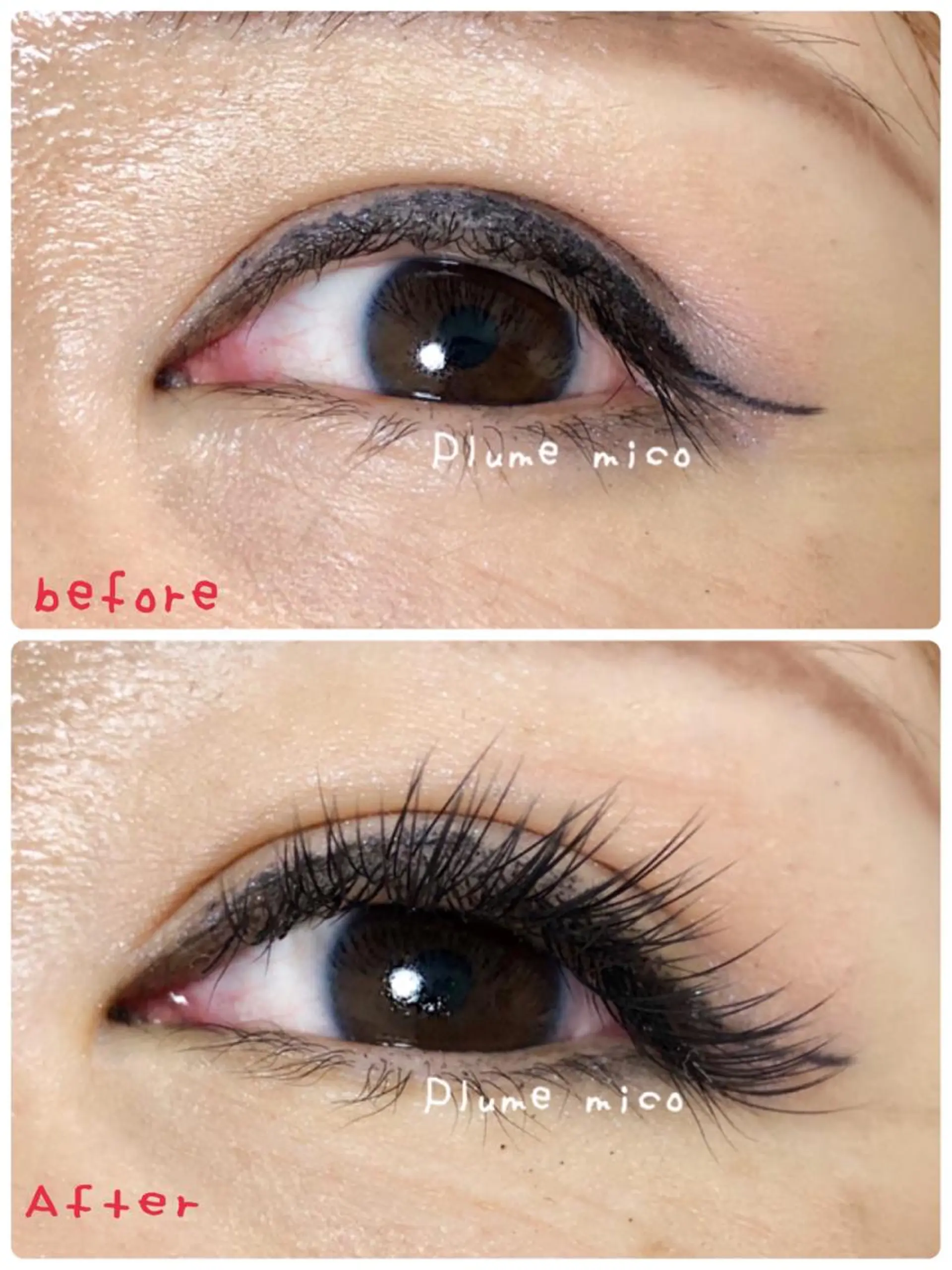 マツエク・マツパ 付け放題 Cカール ナチュラル マツエク Plume micoのマツエク・マツパデザイン